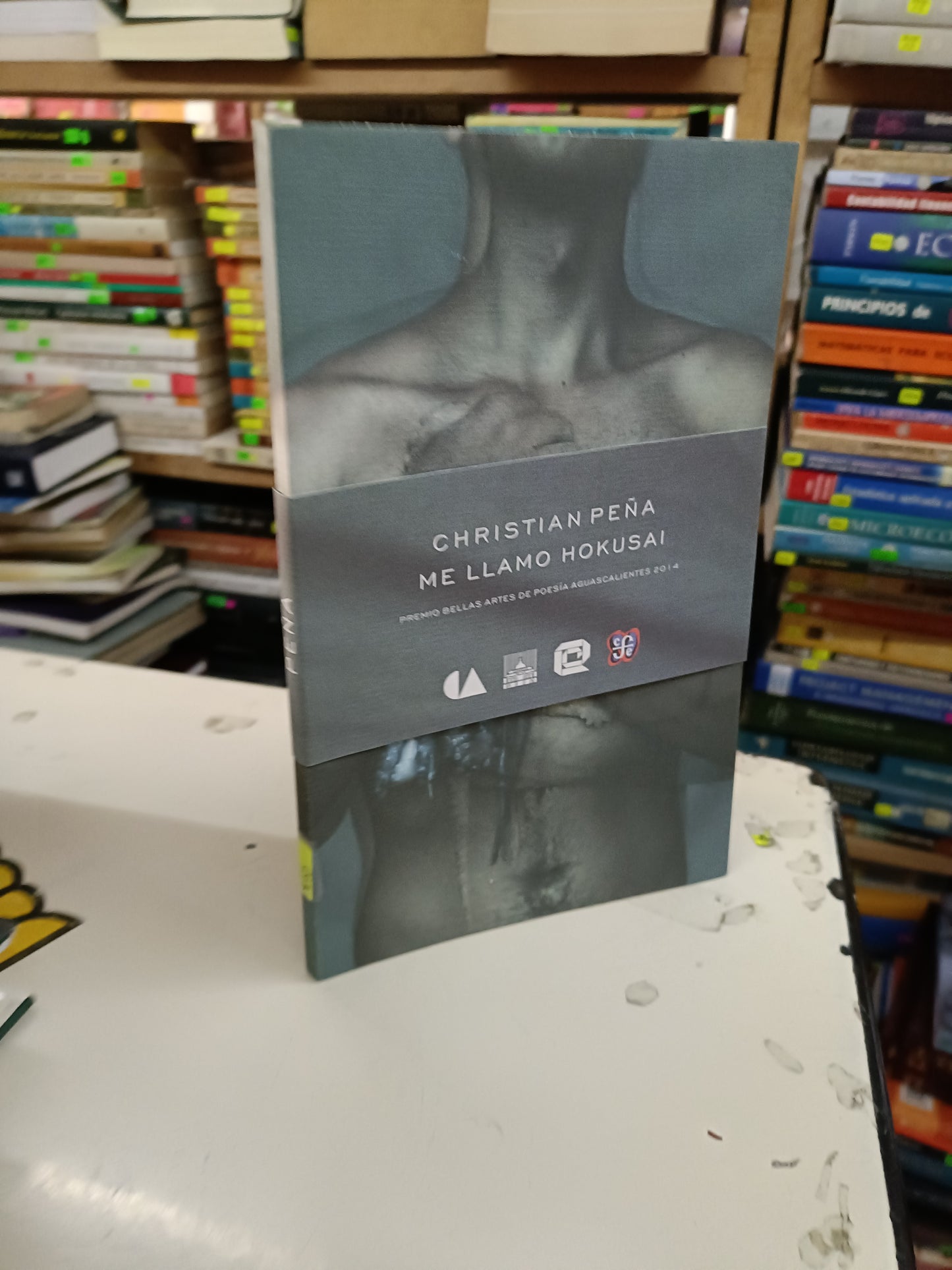 ME LLAMO HOKUSAI POR CHRISTIAN PEÑA USADO NOVELA LITERARIO 207