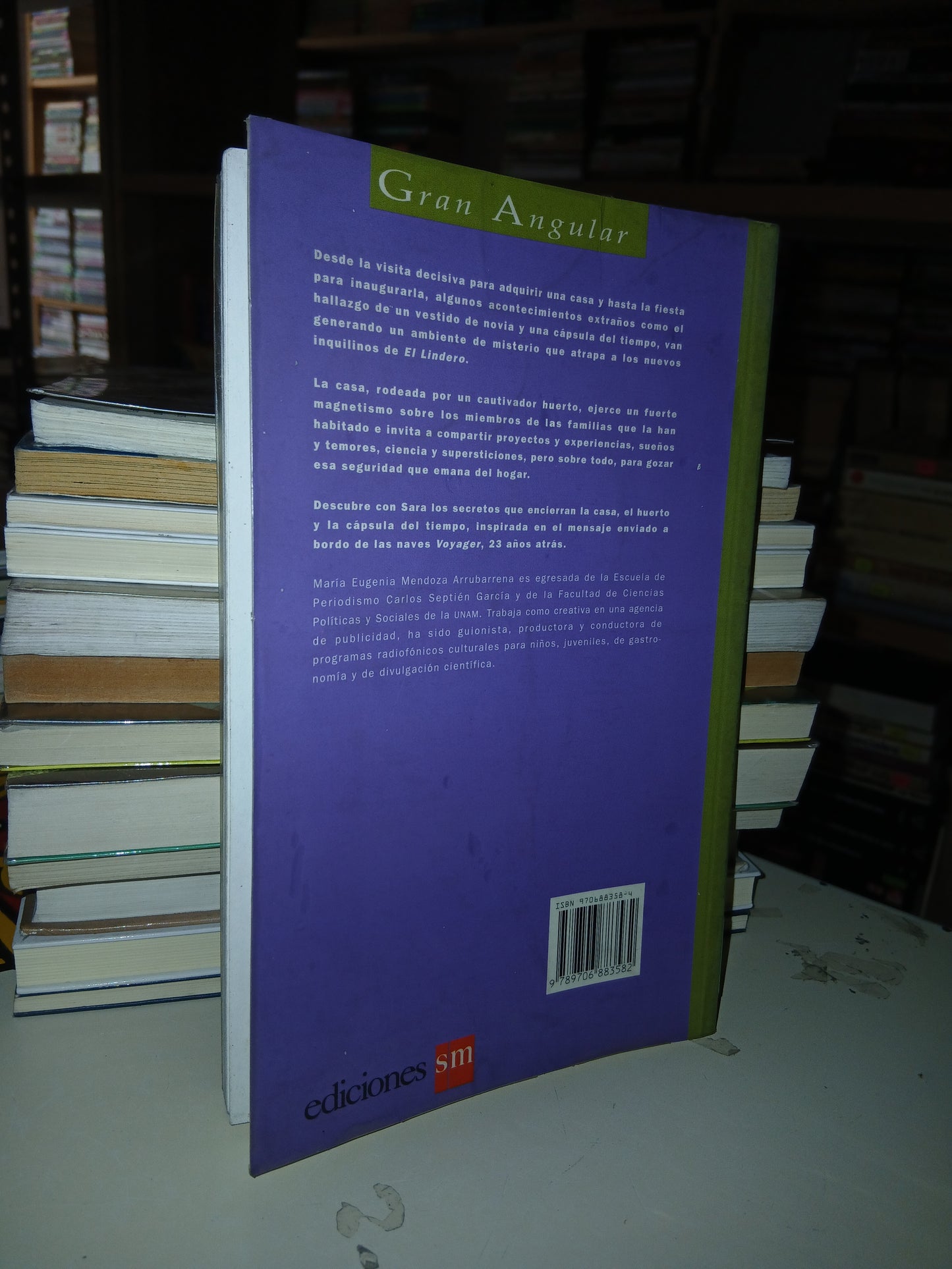 EL LINDERO POR MARÍA EUGENIA MENDOZA ARRUBARRENA USADO NOVELA LITERARIO 207