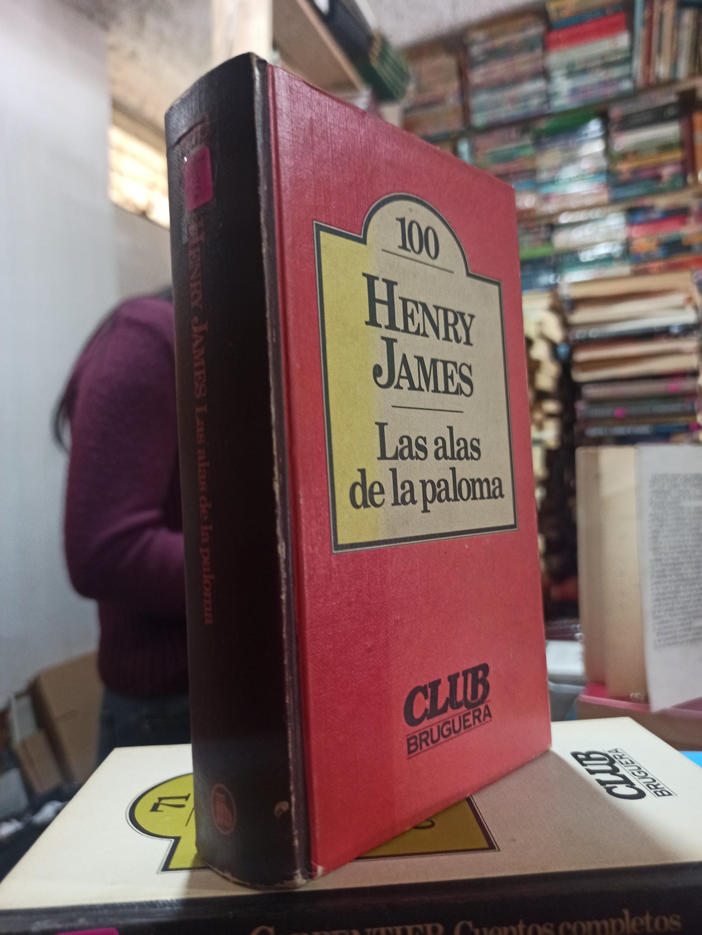 LAS ALAS DE LA PALOMA POR HENRY JAMES USADO NOVELAS ALDAMA