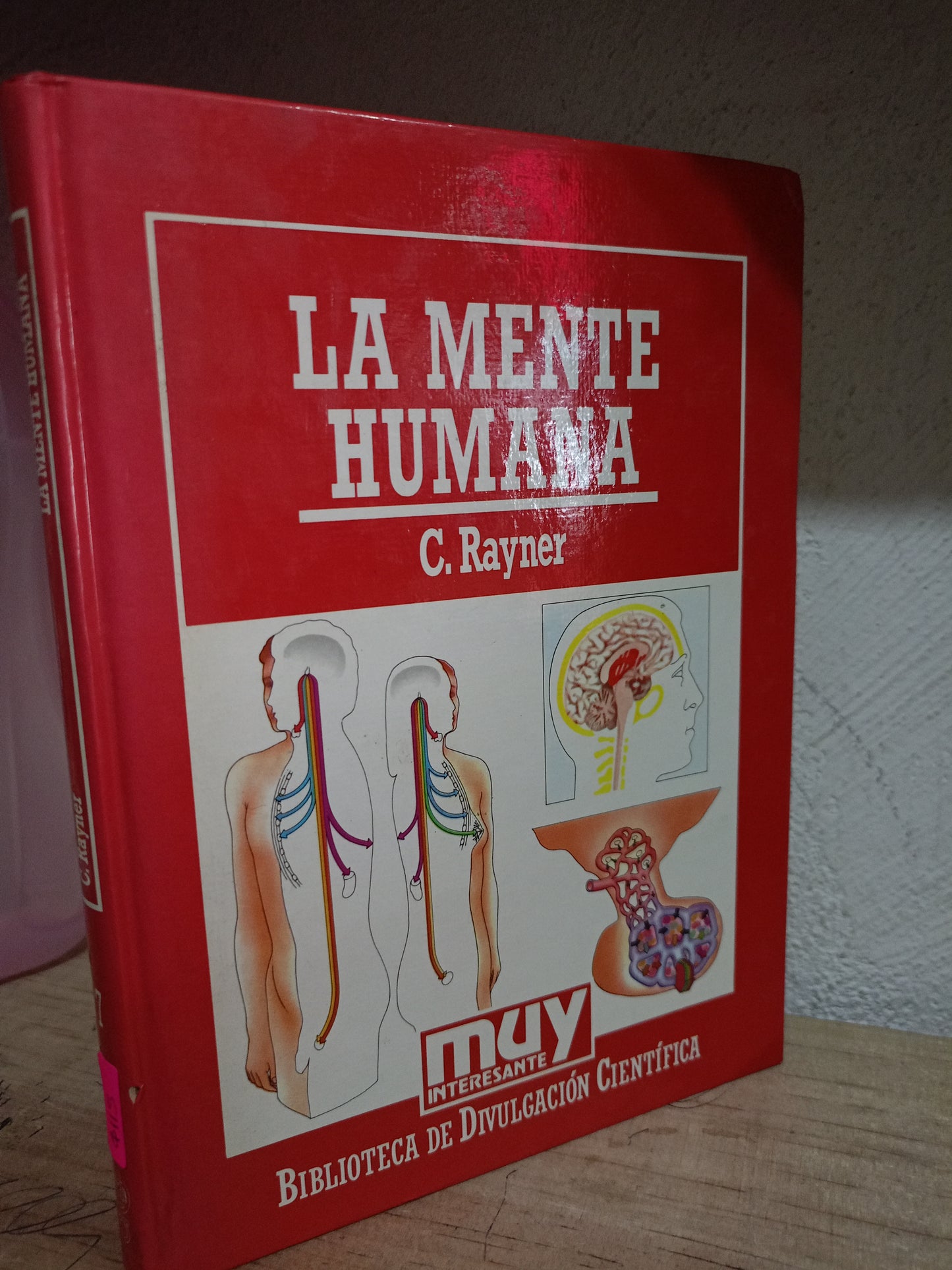 LA MENTE HUMANA POR C.RAYNER USADO CIENCIA LITERARIO 305
