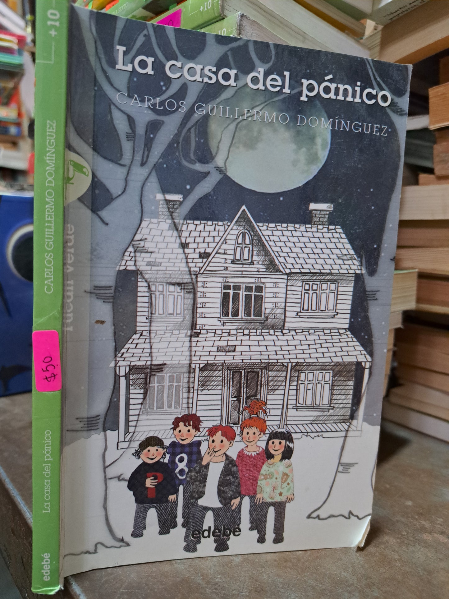 LA CASA DEL PANICO CARLOS GUILLERMO DOMINGUEZ USADO INFANTIL ALDAMA