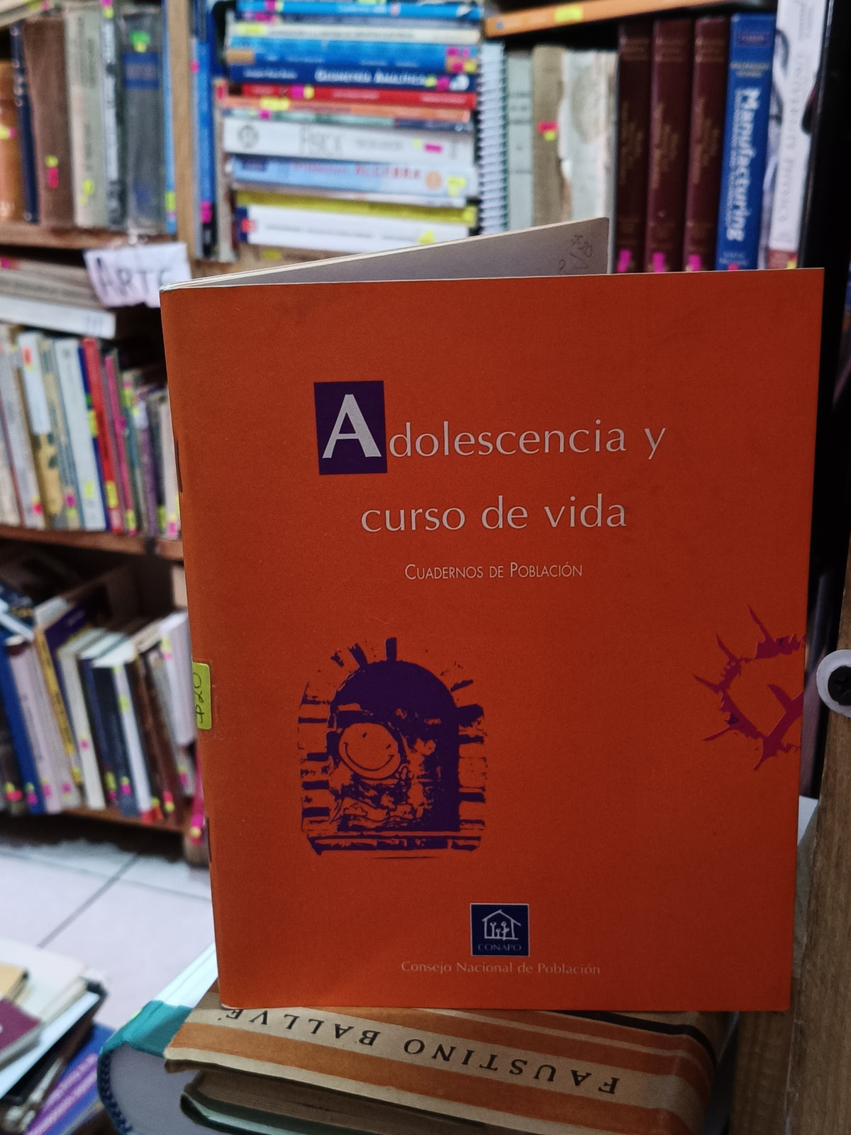 ADOLESCENCIA Y CURSO DE VIDA CUADERNOS DE POBLACION USADO PSICOLOGIA LITERARIO 305