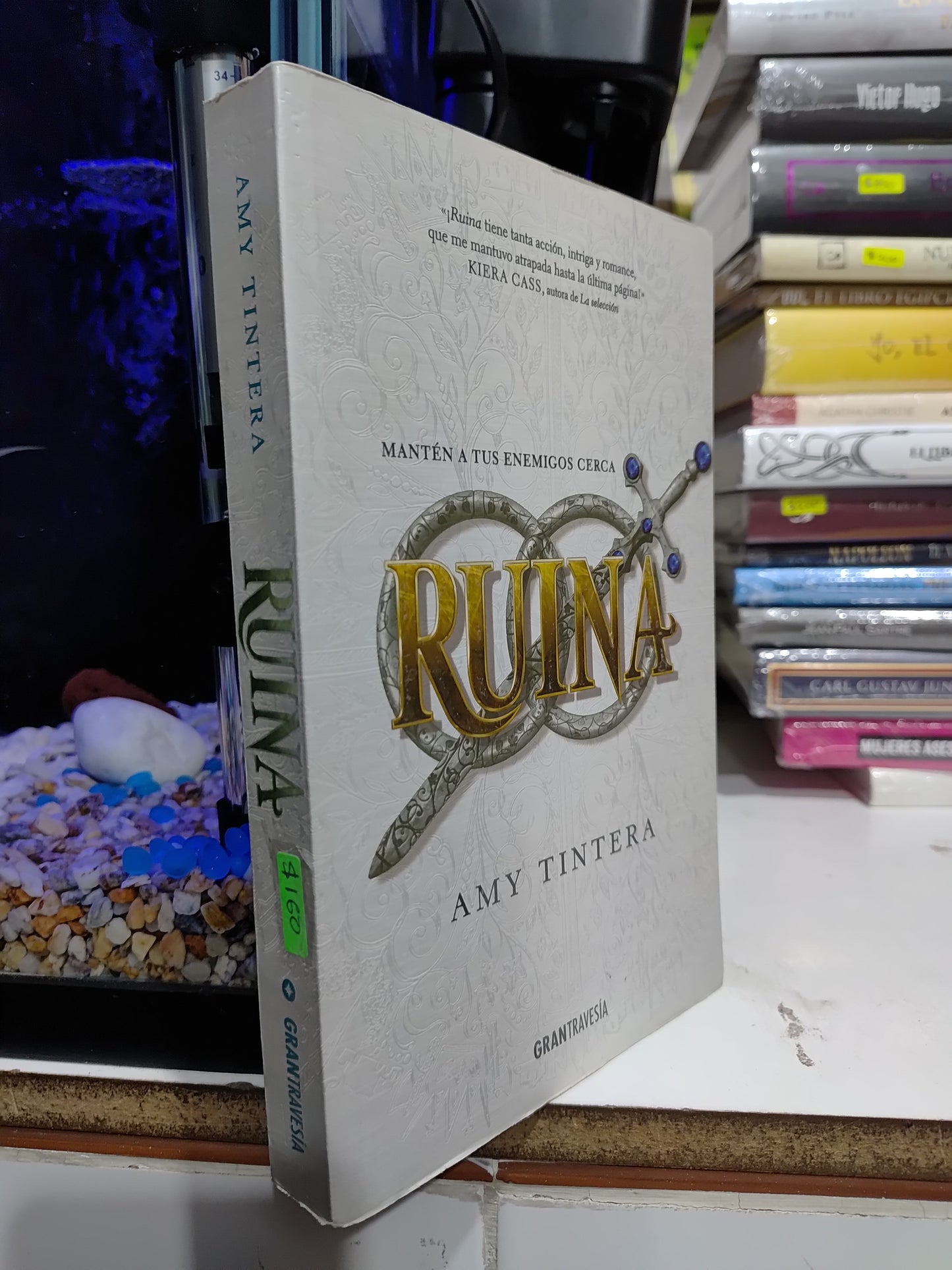 RUINA POR AMY TINTERA USADO NOVELAS JUAREZ