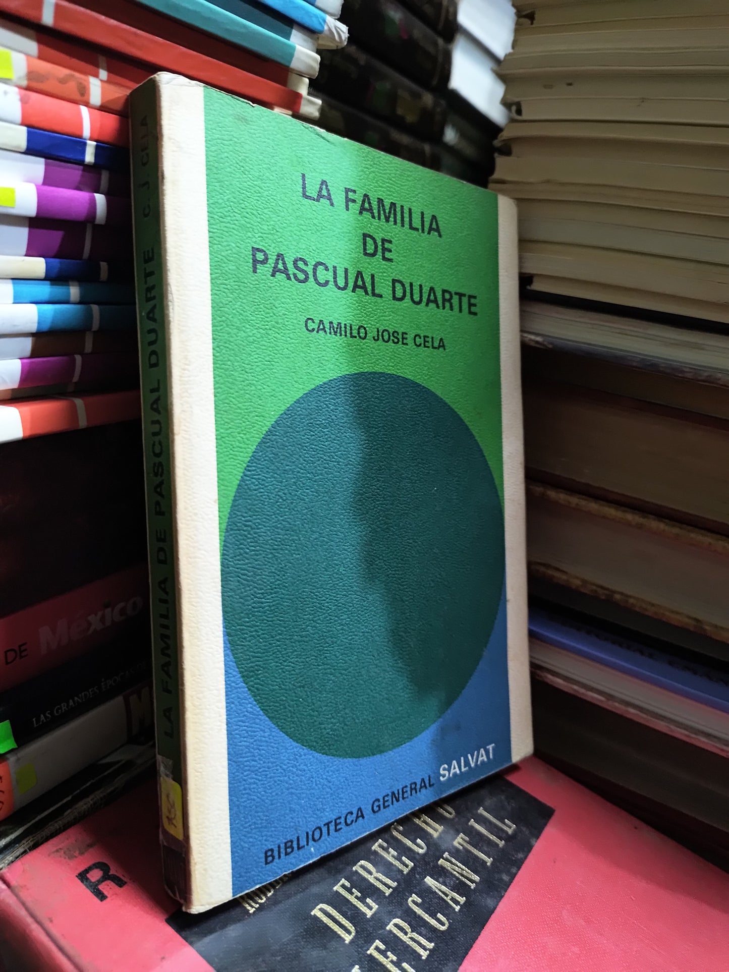 LA FAMILIA DE PASCUAL DE DUARTE POR CAMILO JOSE CELA USADO NOVELAS JUAREZ 507