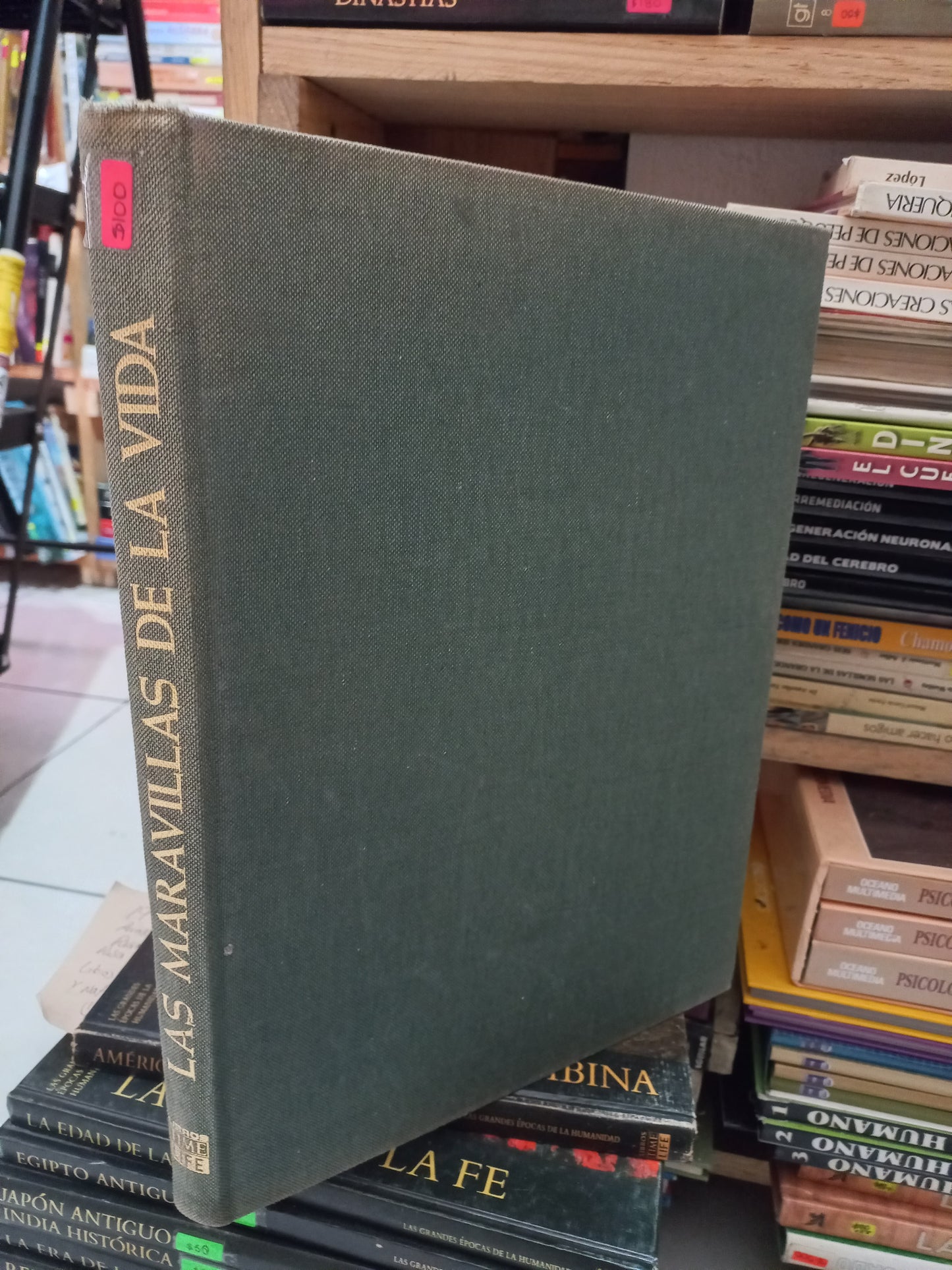 LAS MARAVILLAS DE LA VIDA USADO HISTORIA LITERARIO 305