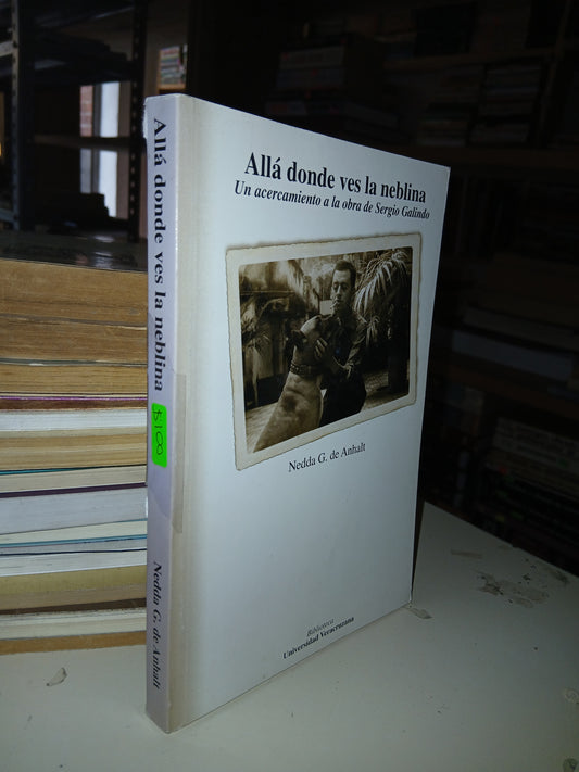ALLÁ DONDE VES LA NEBLINA UN ACERCAMIENTO A LA OBRA DE SERGIO GALINDO NEDDA G. DE ANHALT USADO NOVELA LITERARIO 207