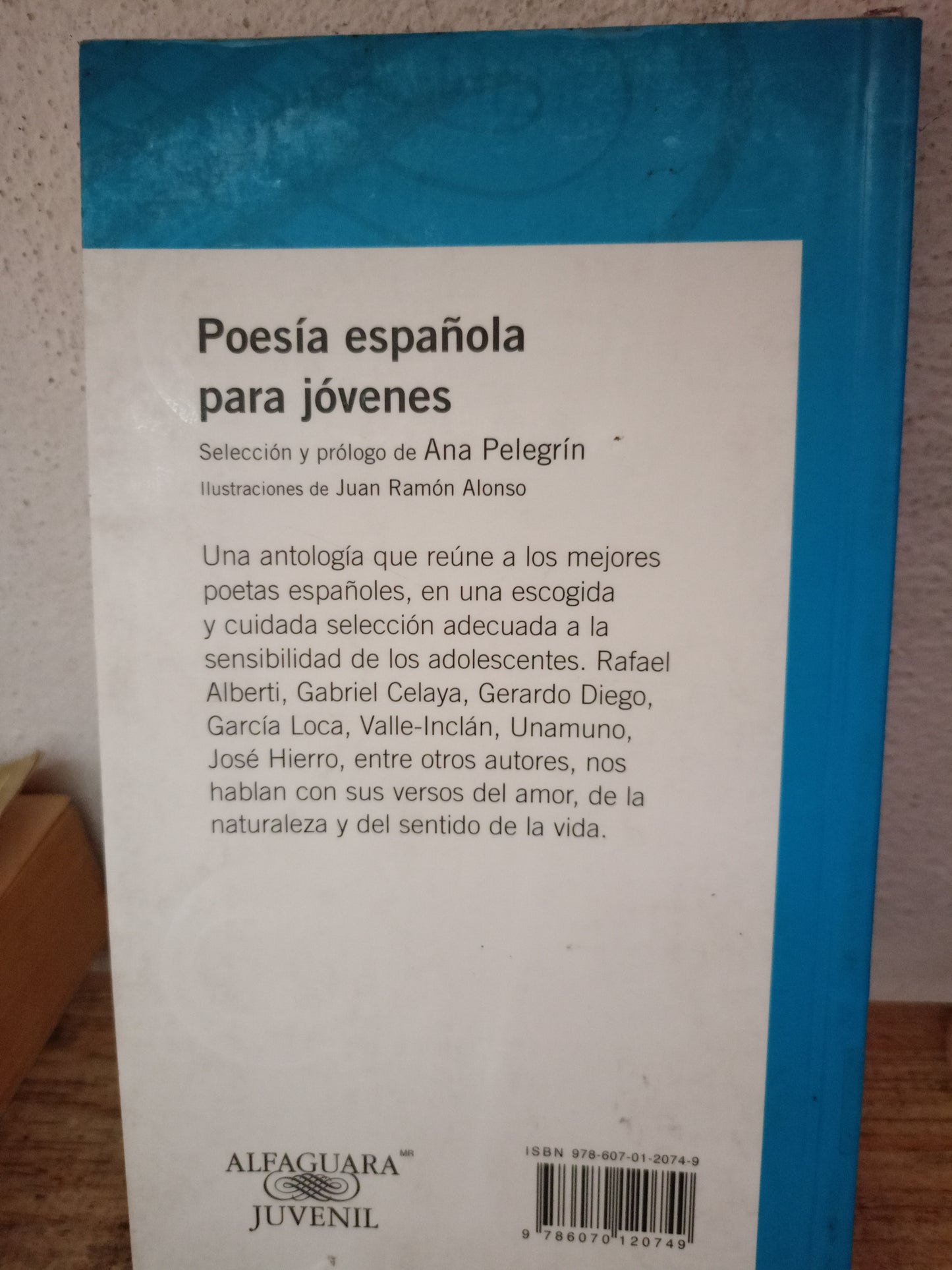 POESIA ESPAÑOLA PARA JOVENES ANA PELEGRIN USADO INFANTIL LITERARIO 305