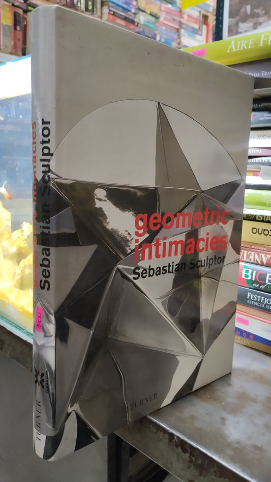 GEOMETRIC INTIMACIES POR SEBASTIAN SCULPTOR LIBRO USADO ARTE ALDAMA