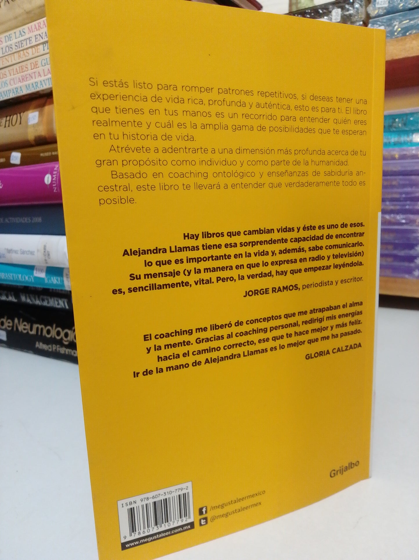 EL ARTE DE CONOCERTE POR ALEJANDRA LLAMAS USADO SUP.PERSONAL JUAREZ