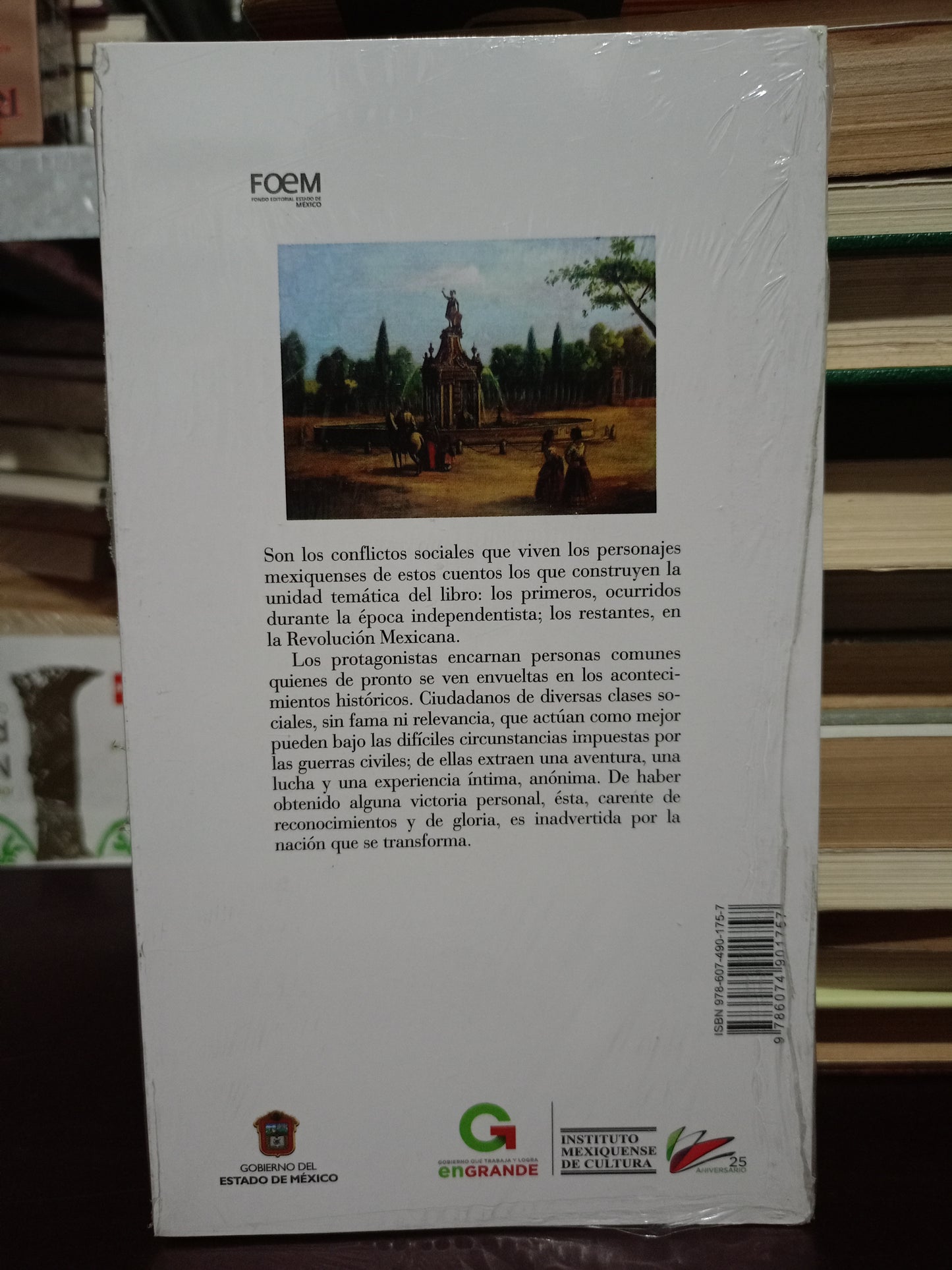 LAS VICTORIAS INADVERTIDAS POR DELFINA CAREAGA NUEVO LIBROS NUEVOS LITERARIO 305