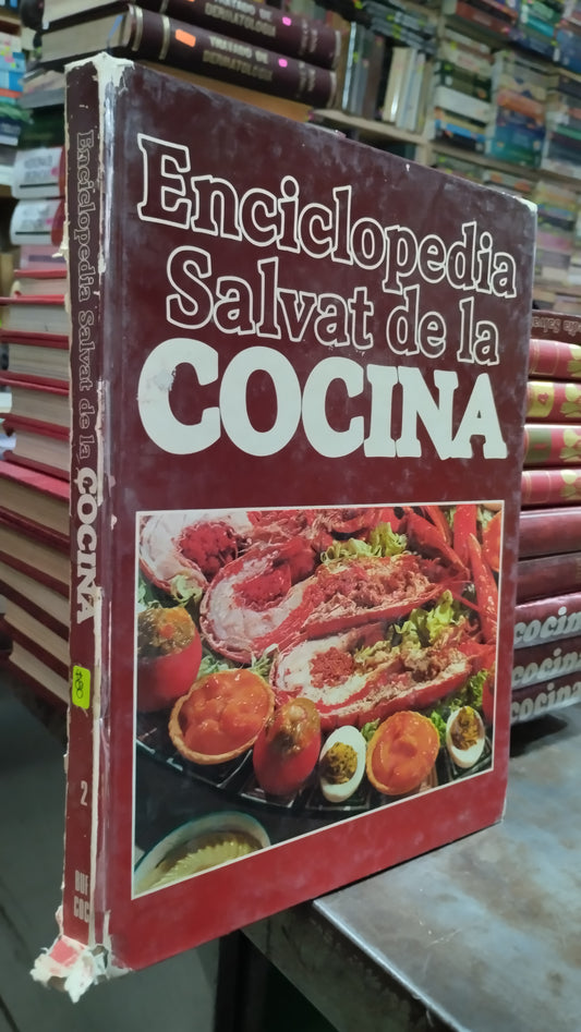 ENCICLOPEDIA SALVAT DE LA COCINA 2 LIBRO USADO COCINA ALDAMA