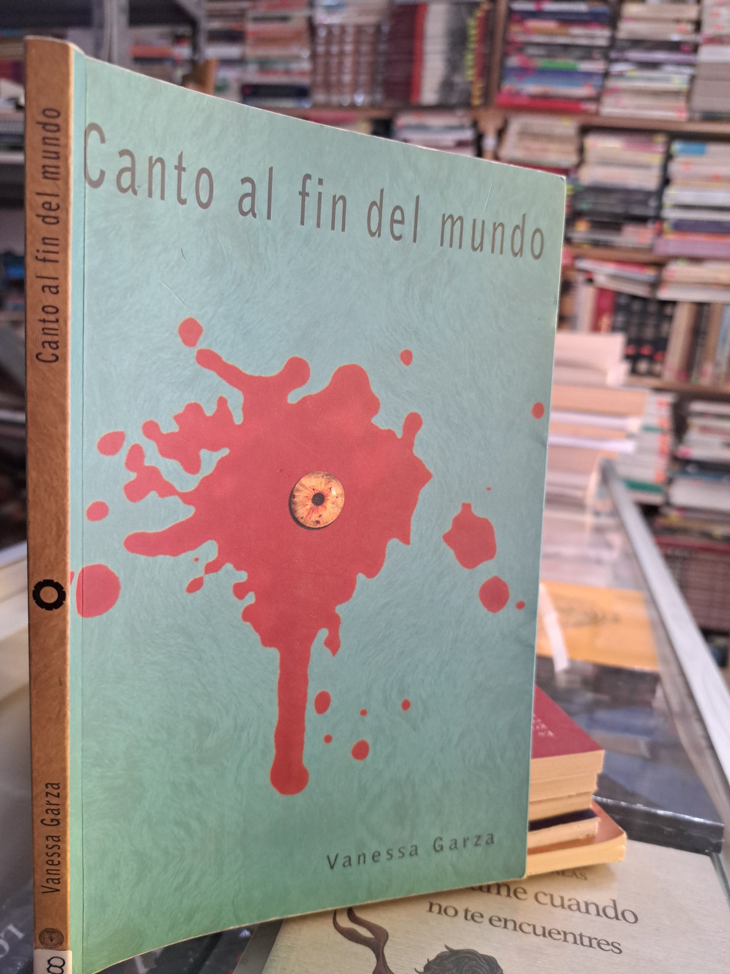 CANTO AL FINAL DEL MUNDO VANESSA GARZA USADO NOVELA JUÁREZ