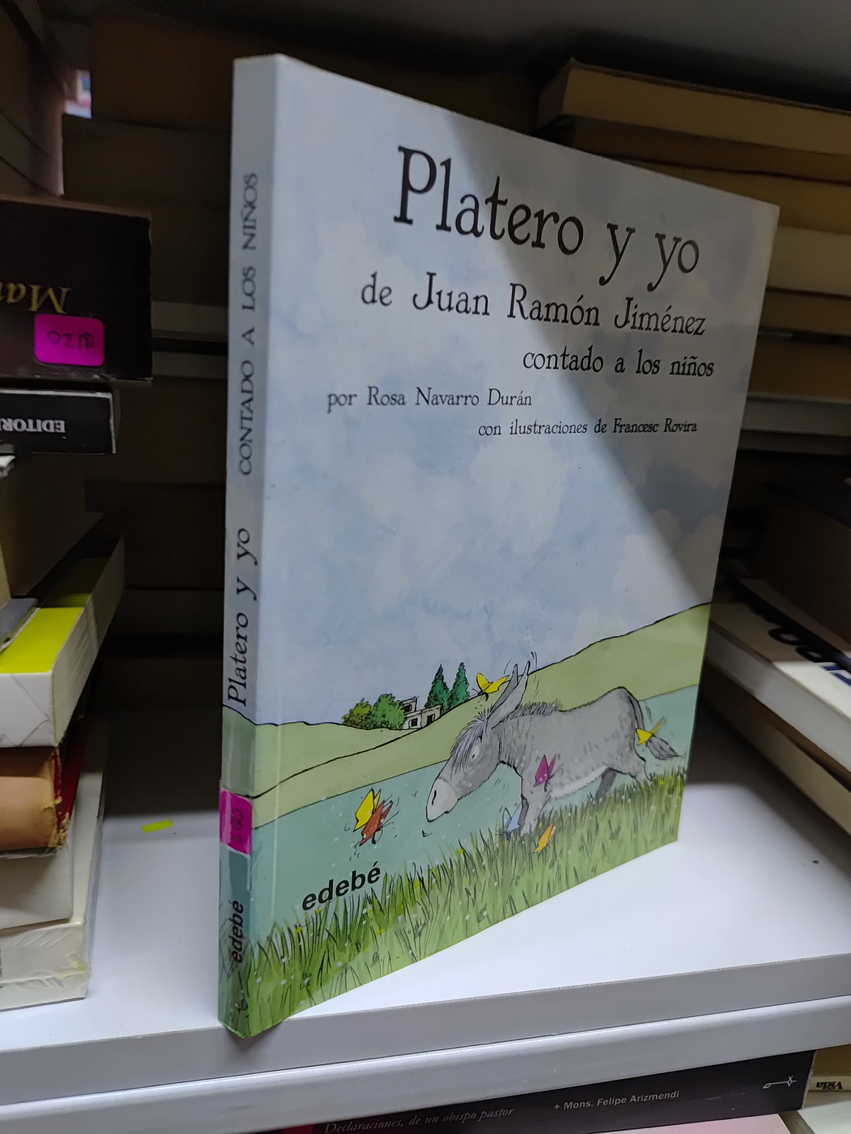 PLATERO Y YO POR ROSA NAVARRO DURAN USADO NOVELAS JUAREZ 515