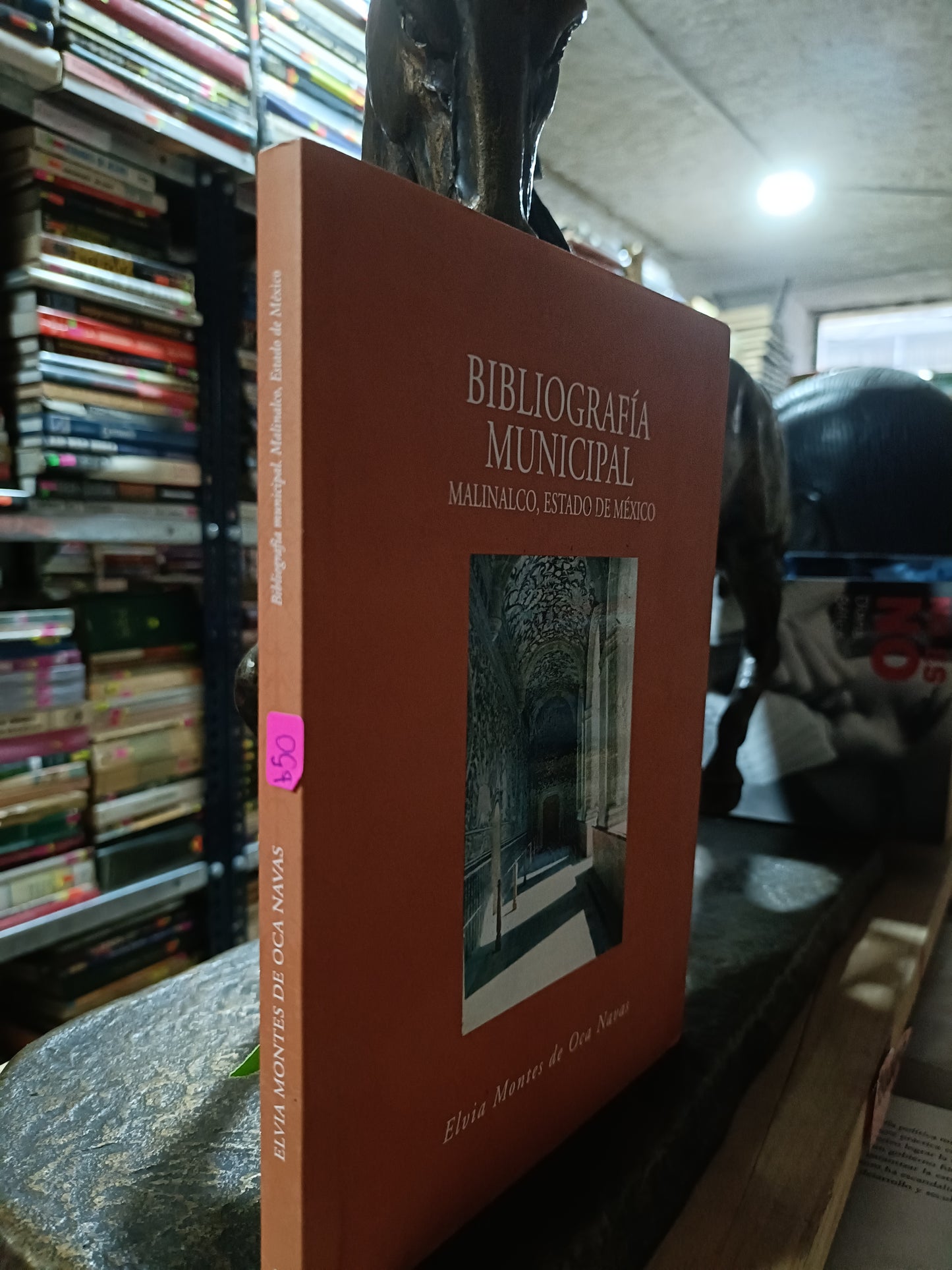 BIBLIOGRAFIA MUNICIPAL MALINALCO ESTADO DE MEXICO POR ELVIA MONTES DE OCA USADO HISTORIA ALDAMA