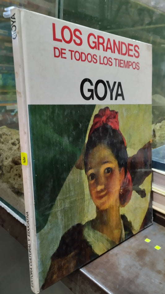GOYA LIBRO USADO HISTORIA ALDAMA