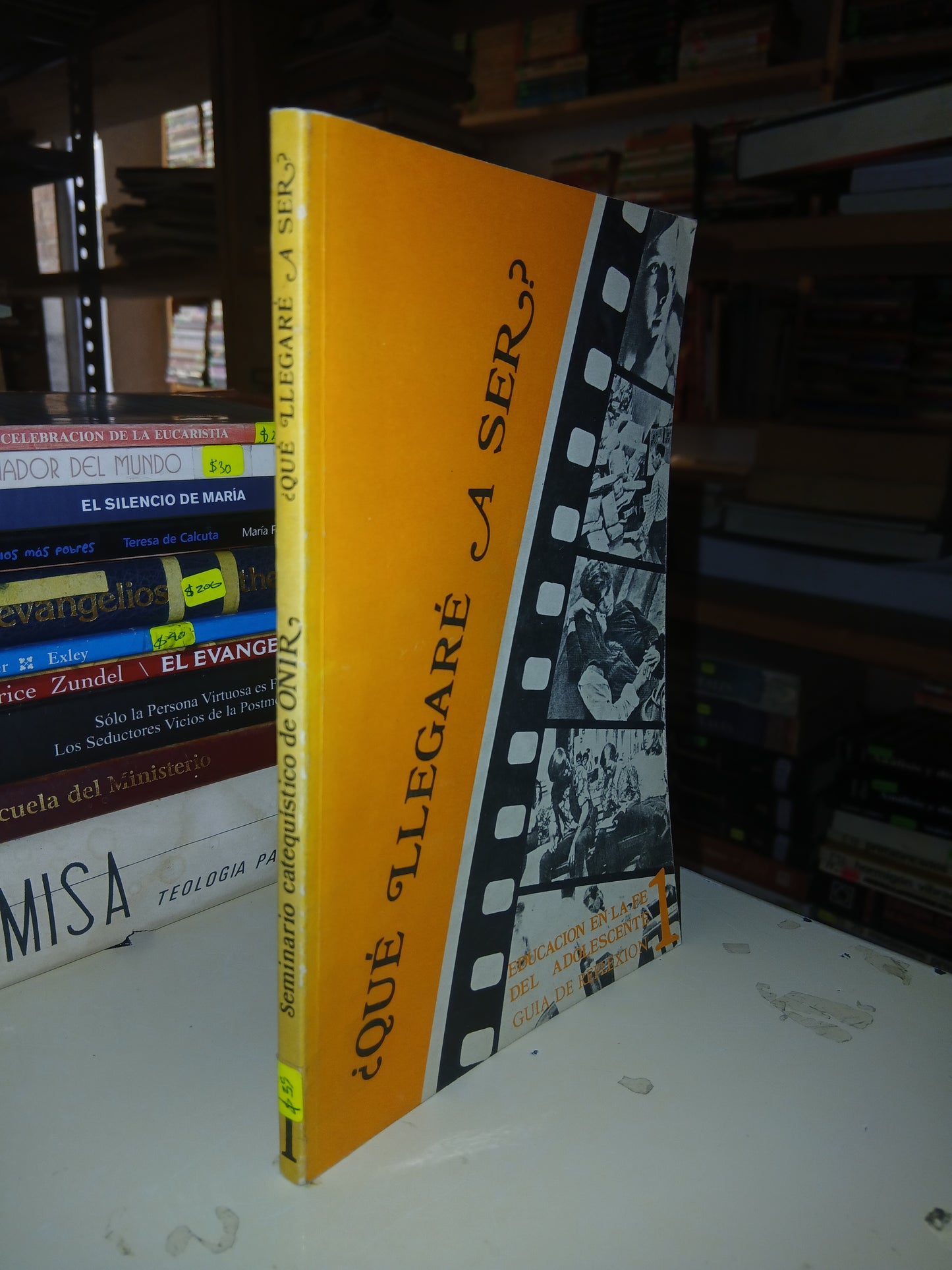 ¿QUÉ LLEGARÉ A SER? POR EL SEMINARIO CATEQUÍSTICO DE LA O.N.I.R USADO RELIGIÓN LITERARIO 207