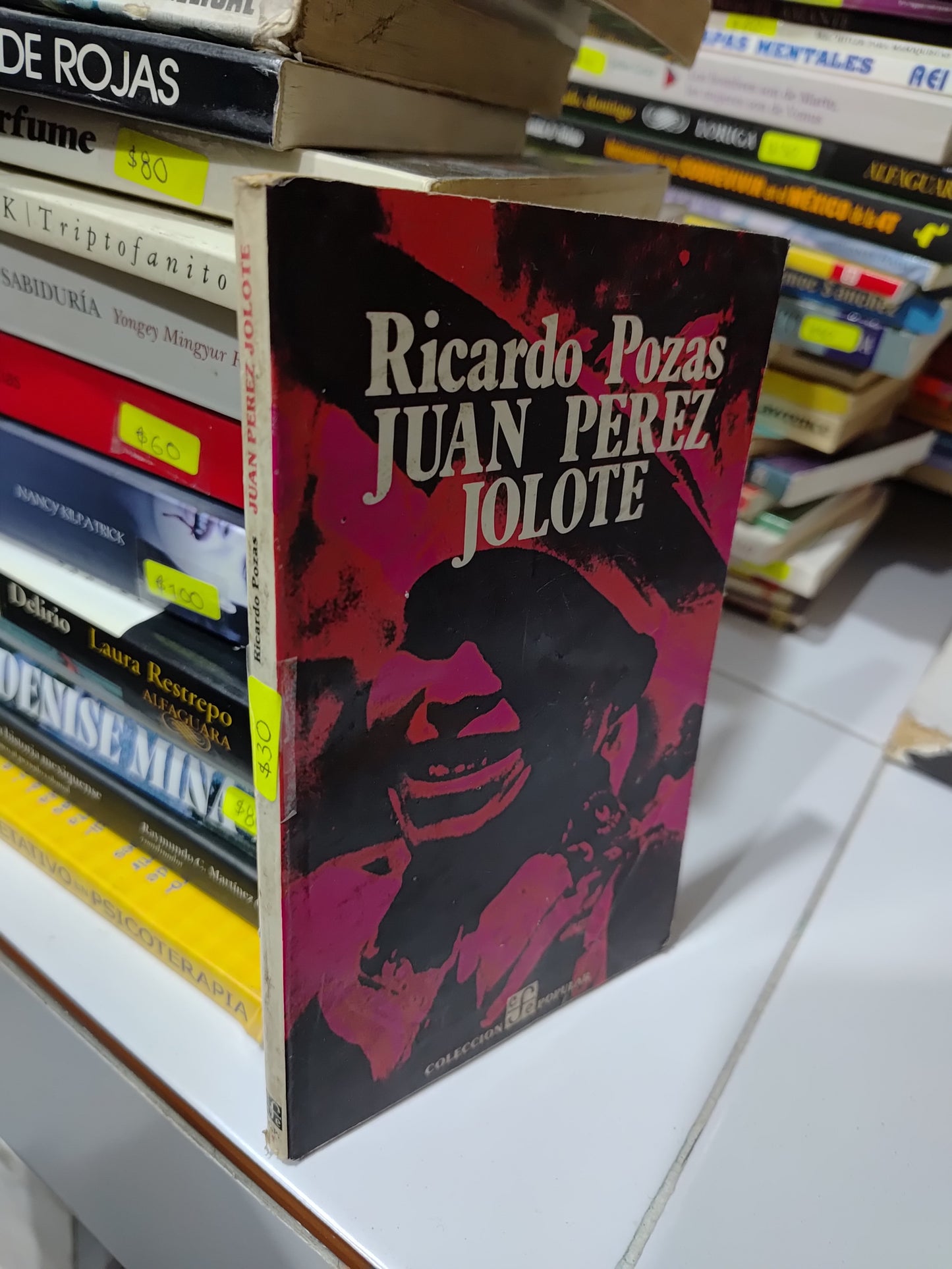 JUAN PEREZ JOLOTE POR RICARDO POZAS USADO NOVELAS JUAREZ