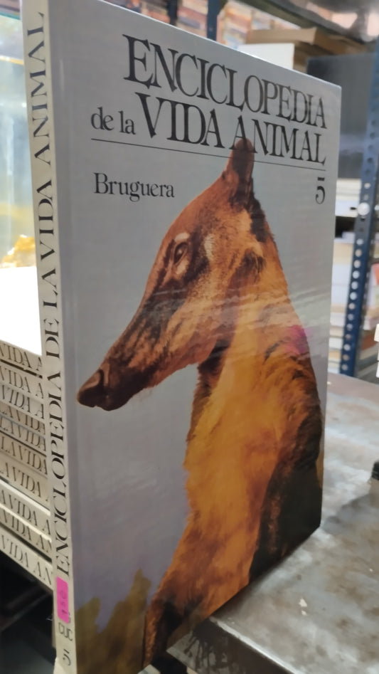 ENCICLOPEDIA DE LA VIDA ANIMAL 5 LIBRO USADO BIOLOGIA ALDAMA