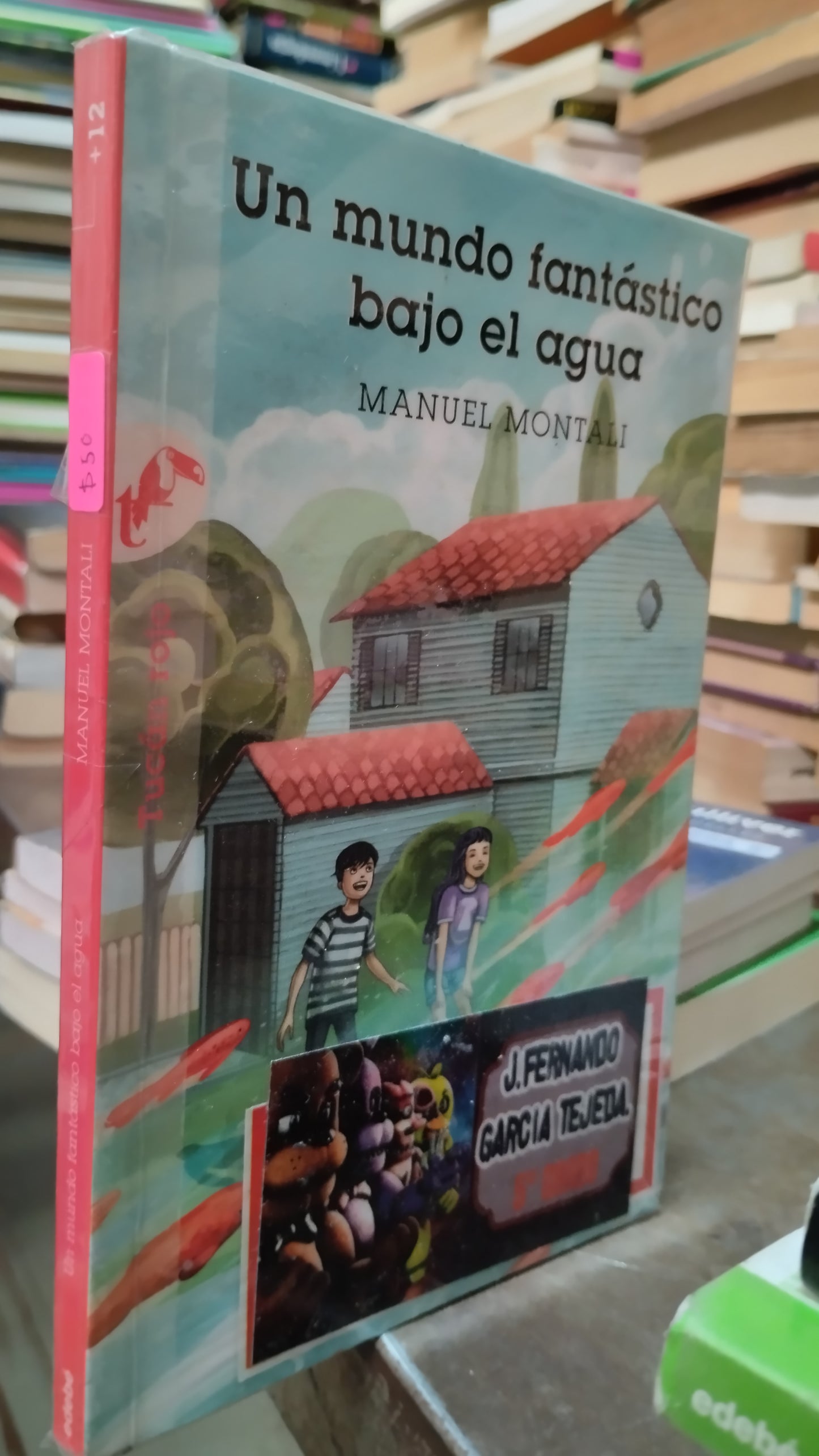 UN MUNDO FANTASTICO BAJO EL AGUA POR MANUEL MONTALI LIBRO USADO INFANTIL ALDAMA