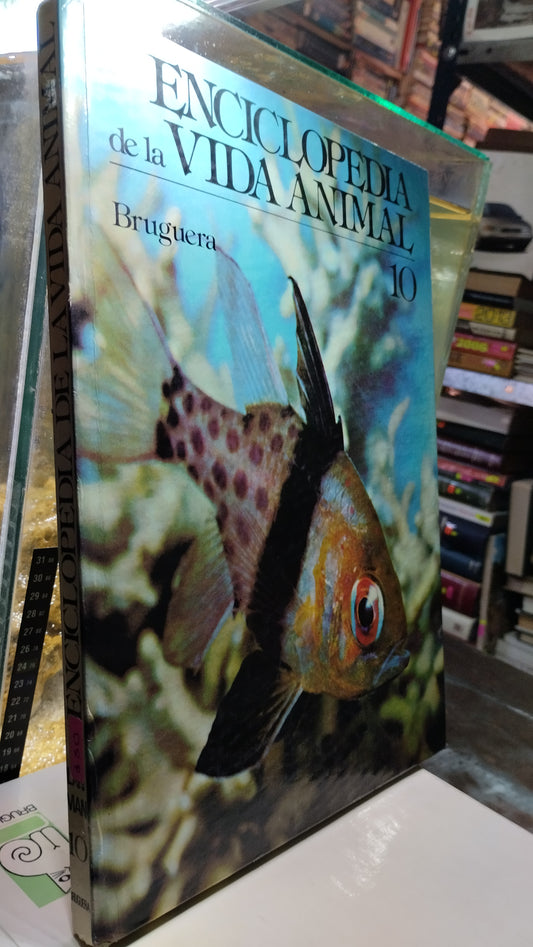 ENCICLOPEDIA DE LA VIDA ANIMAL 10 LIBRO USADO BIOLOGIA ALDAMA