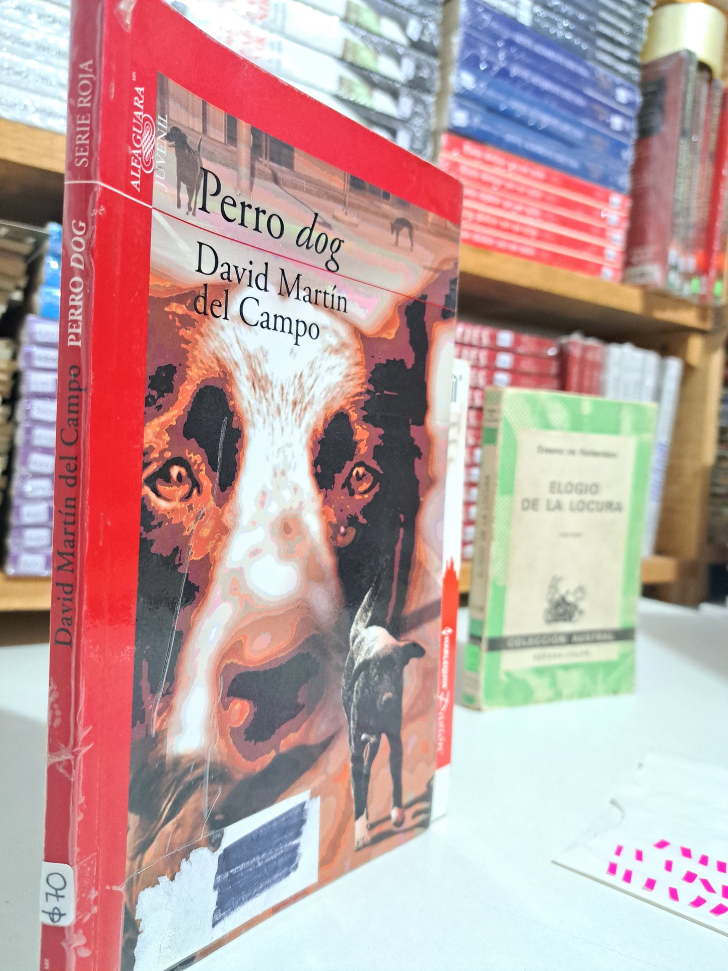 PERRO DOG DAVID MARTÍN DEL CAMPO USADO NOVELA JUÁREZ