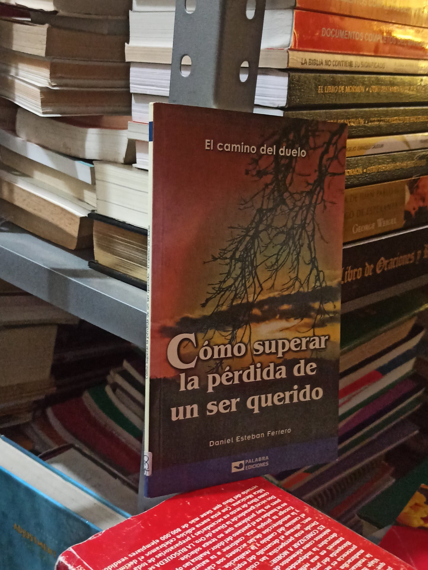 COMO SUPERAR LA PERDIDA DE UN SER QUERIDO POR DANIEL ESTEBAN FERRERO USADO SUPERACIÓN PERSONAL JUÁREZ