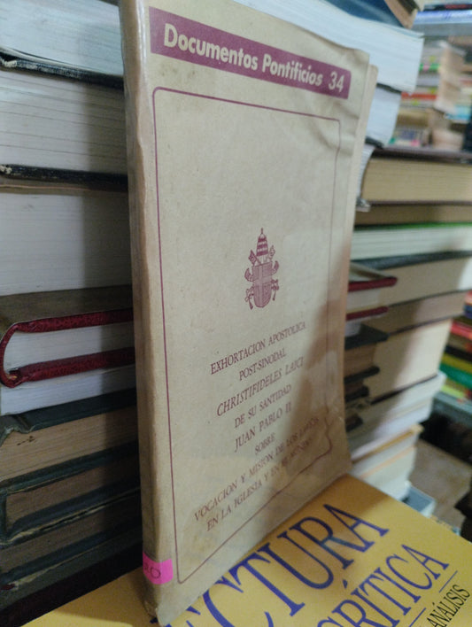 EXHORTACION APOSTOLICA DE SU SANTIDAD JUAN PABLO II USADO RELIGION ALDAMA
