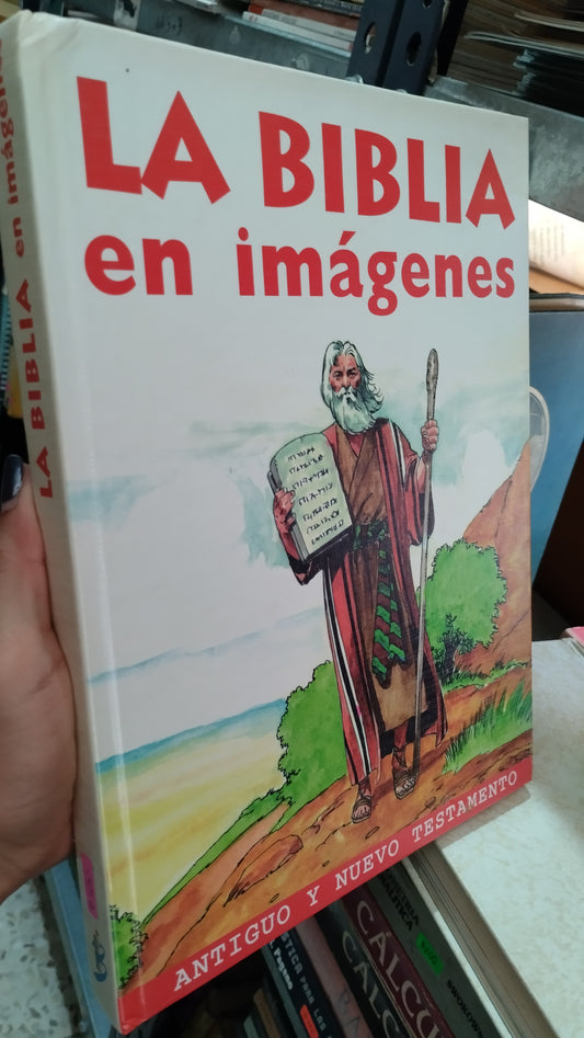 LA BIBLIA EN IMAGENES POR IDEA BOOKS LIBRO USADO RELIGION ALDAMA