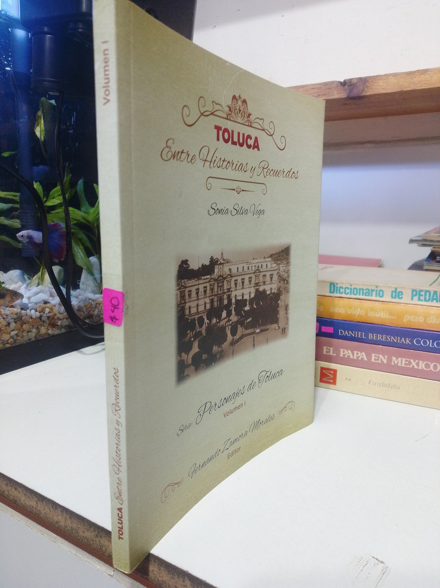 TOLUCA ENTRE HISTORIAS Y RECUERDOS POR SONIA SILVA VEGA USADO HISTORIA JUAREZ