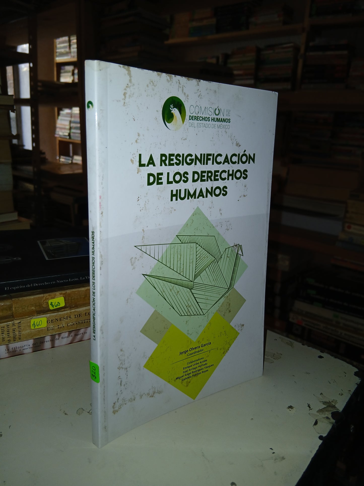 LA RESIGNIFICACIÓN DE LOS DERECHOS HUMANOS COORDINADO POR JORGE OLVERA GARCÍA USADO DERECHO LITERARIO 207