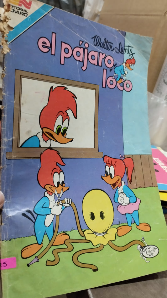 EL PAJARO LOCO POR EDITORIAL LUZARRA LIBRO USADO INFANTIL ALDAMA