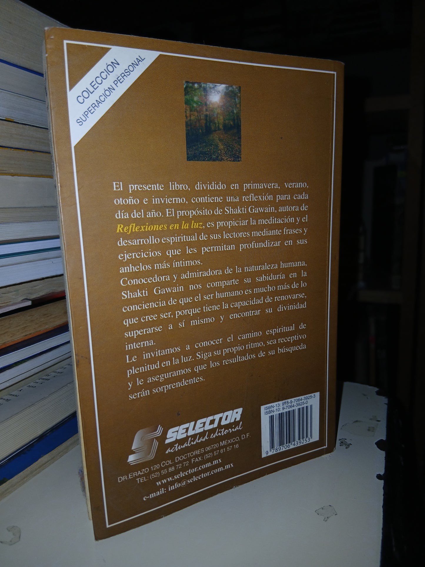 REFLEXIONES EN LA LUZ POR SHAKTI GAWAIN USADO SUPERACIÓN PERSONAL LITERARIO 207