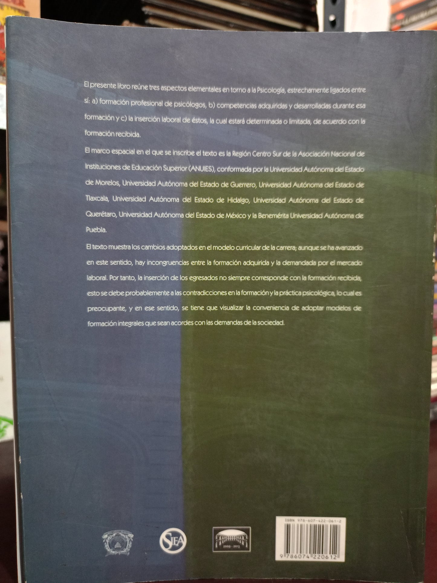 LA CARRERA DE PSICOLOGÍA EN LA REGIÓN CENTRO SUR DE LA ANUIES: FORMACIÓN, COMPETENCIAS PROFESIONALES E INSERCIÓN LABORAL POR GUADALUPE VILLALOBOS MONROY USADO PSICOLOGÍA LITERARIO 305