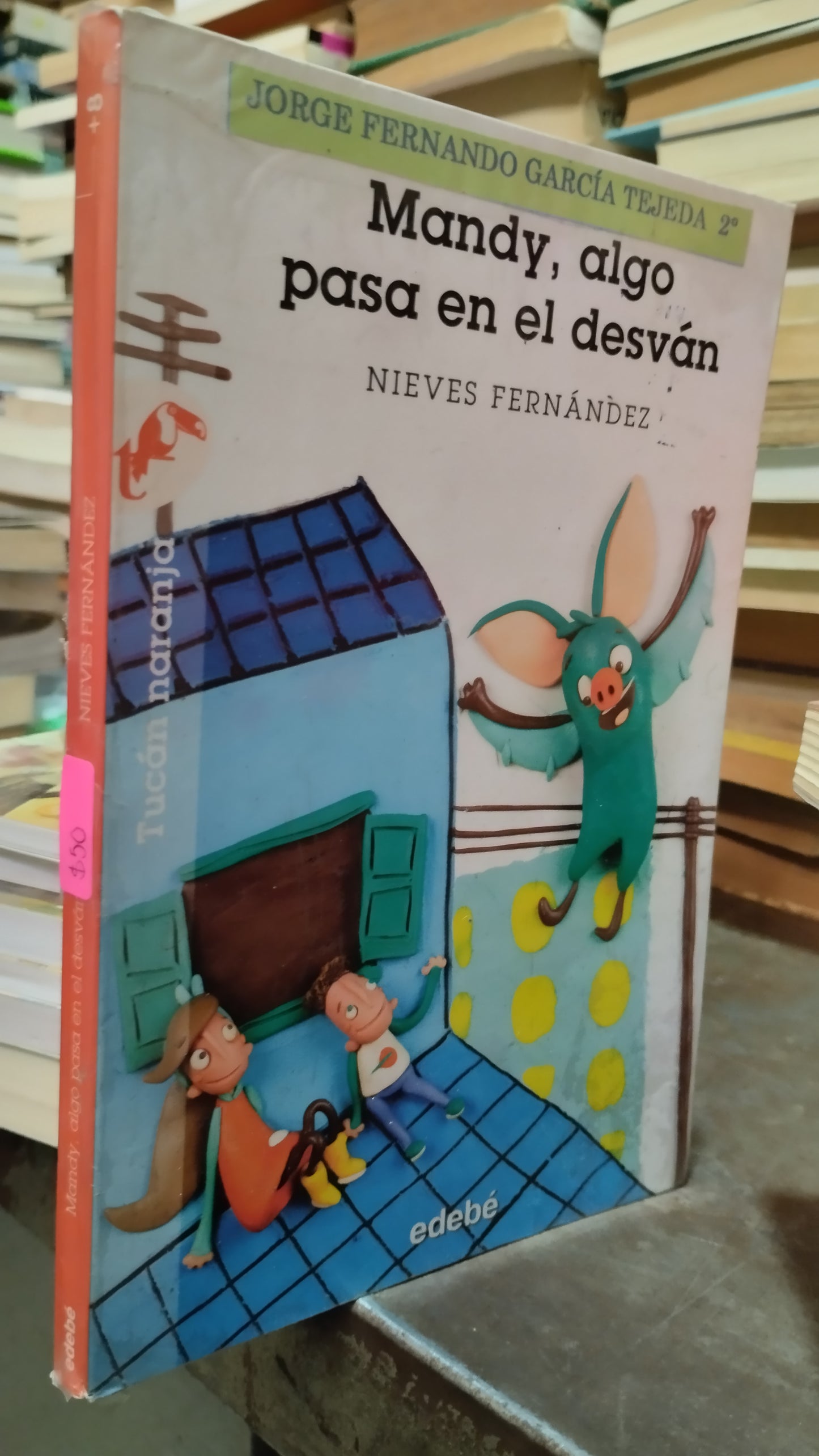 MANDY ALGO PASA EN EL DESVAN POR NIEVES FERNANDEZ LIBRO USADO INFANTIL ALDAMA