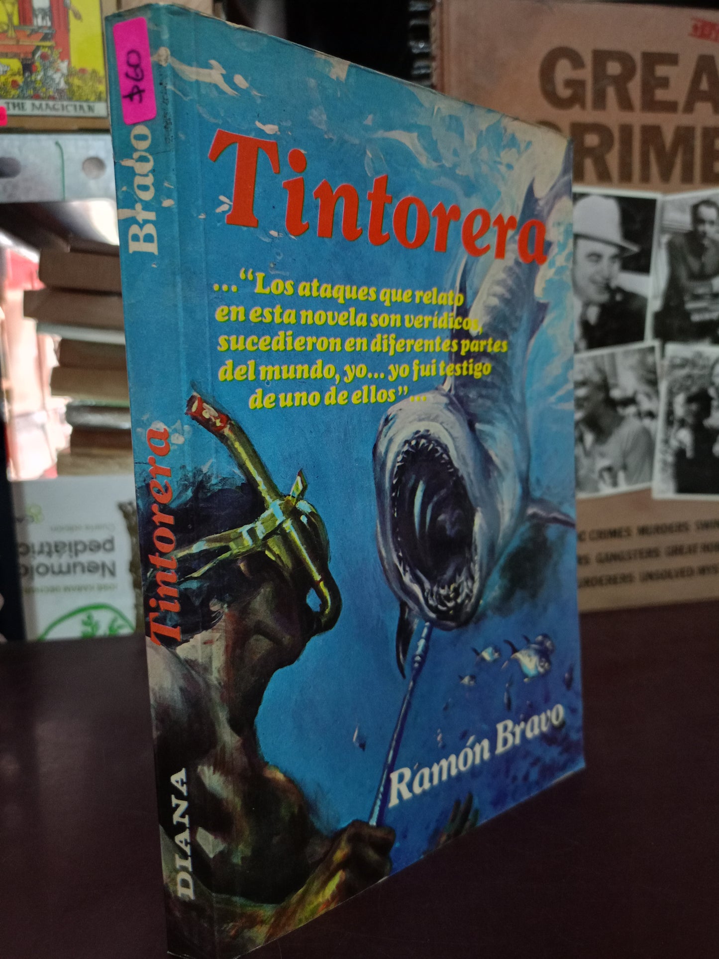 TINTORERA POR RAMÓN BRAVO USADO NOVELA LITERARIO 305