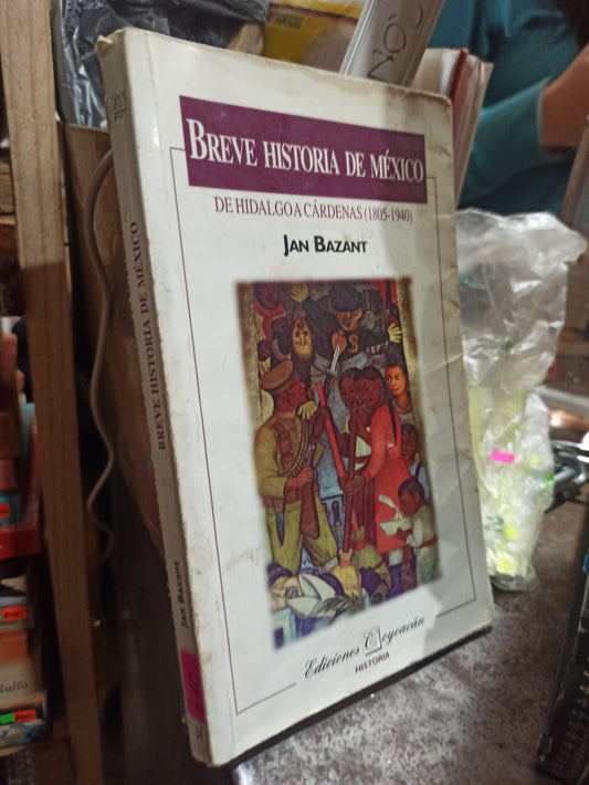 BREVE HISTORIA DE MEXICO POR JAN BAZANT USADO DERECHO ALDAMA