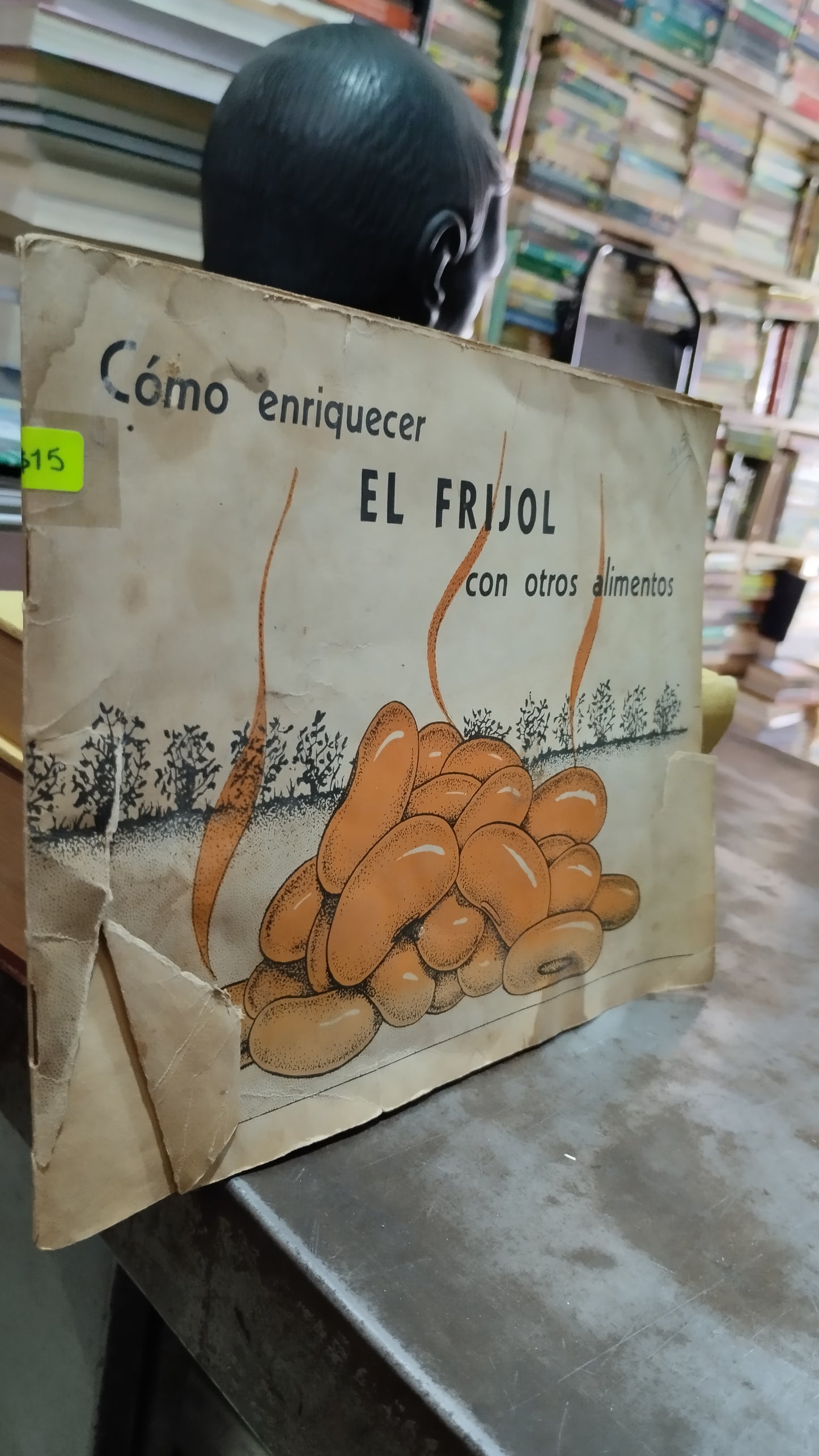 COMO ENRIQUECER EL FRIJOL CON OTROS ALIMENTOS LIBRO USADO COCINA ALDAMA