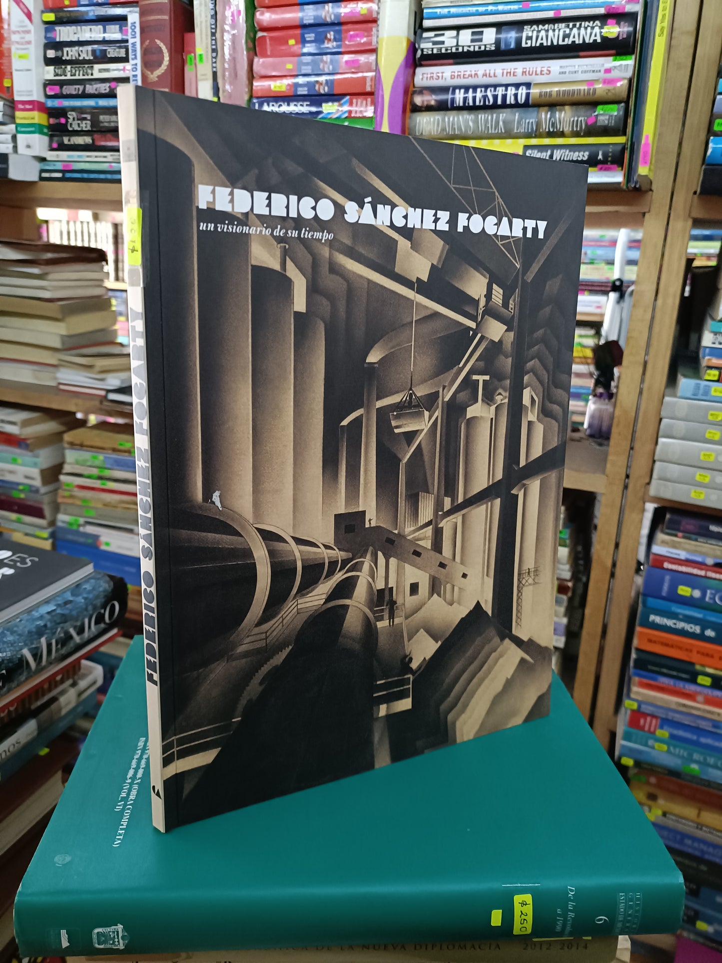 FEDERICO SÁNCHEZ FOCARTY USADO HISTORIA LITERARIO 207