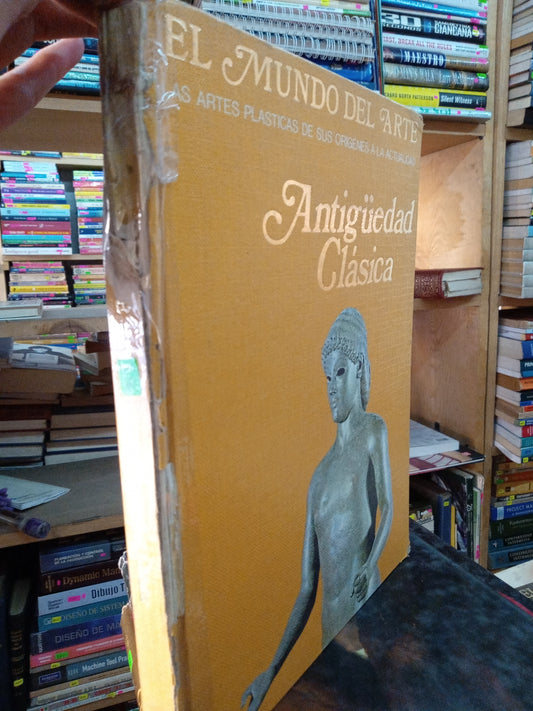 EL MUNDO DEL ARTE LAS ARTES PLASTICAS DE SUS ORIGENES LA ACTUALIDAD ANTIGUEDAD CLASICA USADO ARTE LITERARIO 207