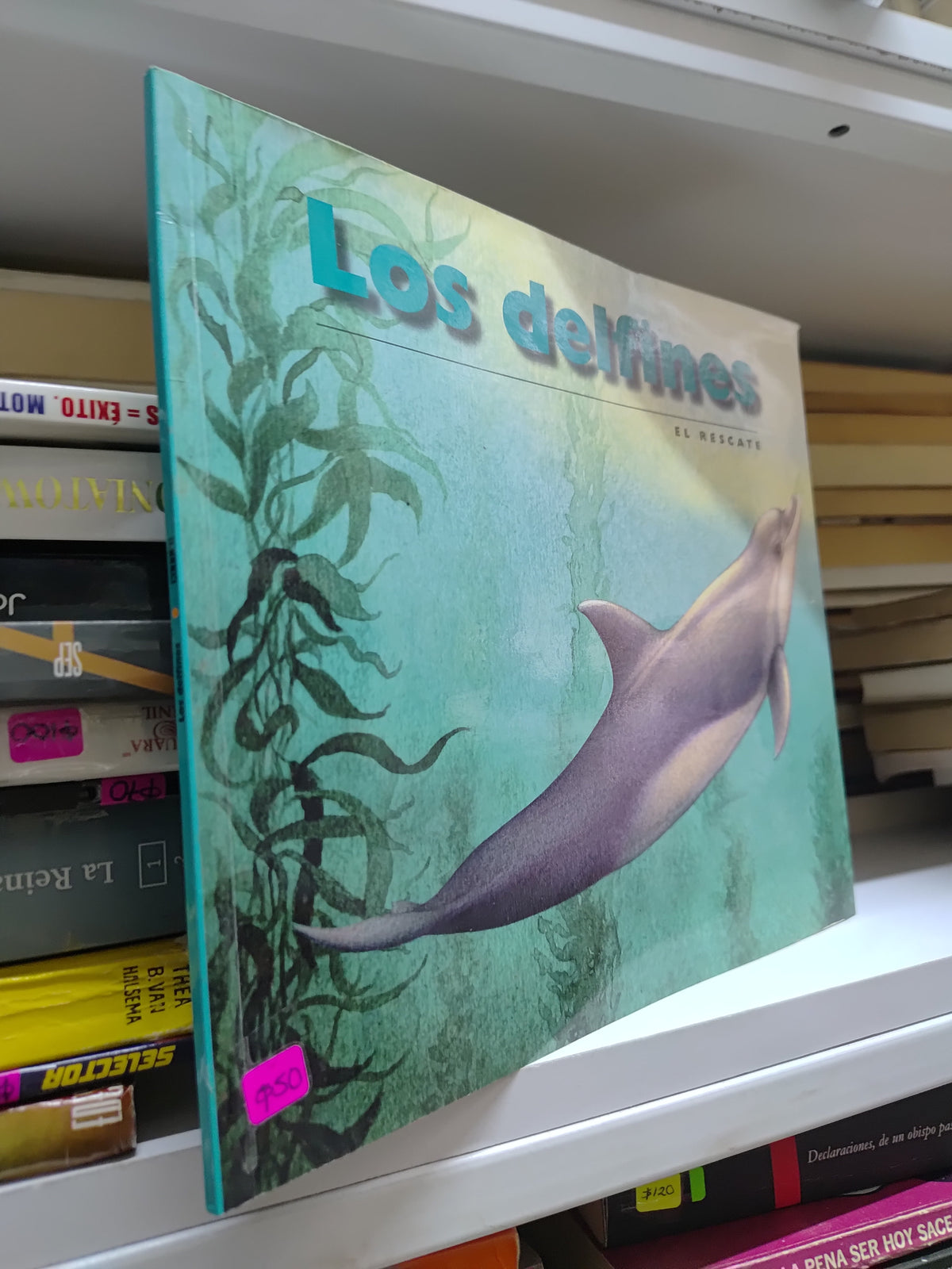LOS DELFINES POR CATALINA FERNANDEZ MATA USADO INFANTILES JUAREZ 507