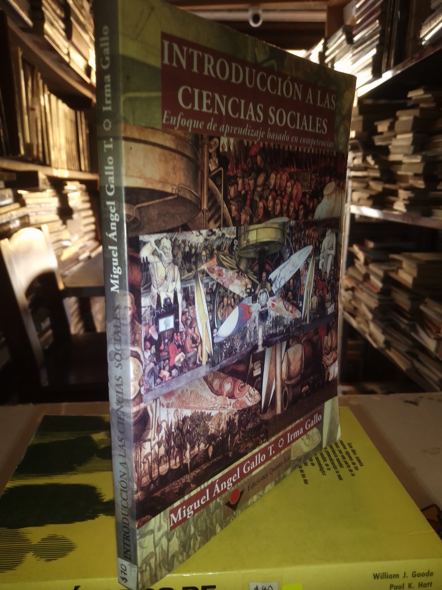 INTRODUCCIÓN A LAS CIENCIAS SOCIALES POR MIGUEL ANGEL GALLO USADO SOCIOLOGÍA LITERARIO 207