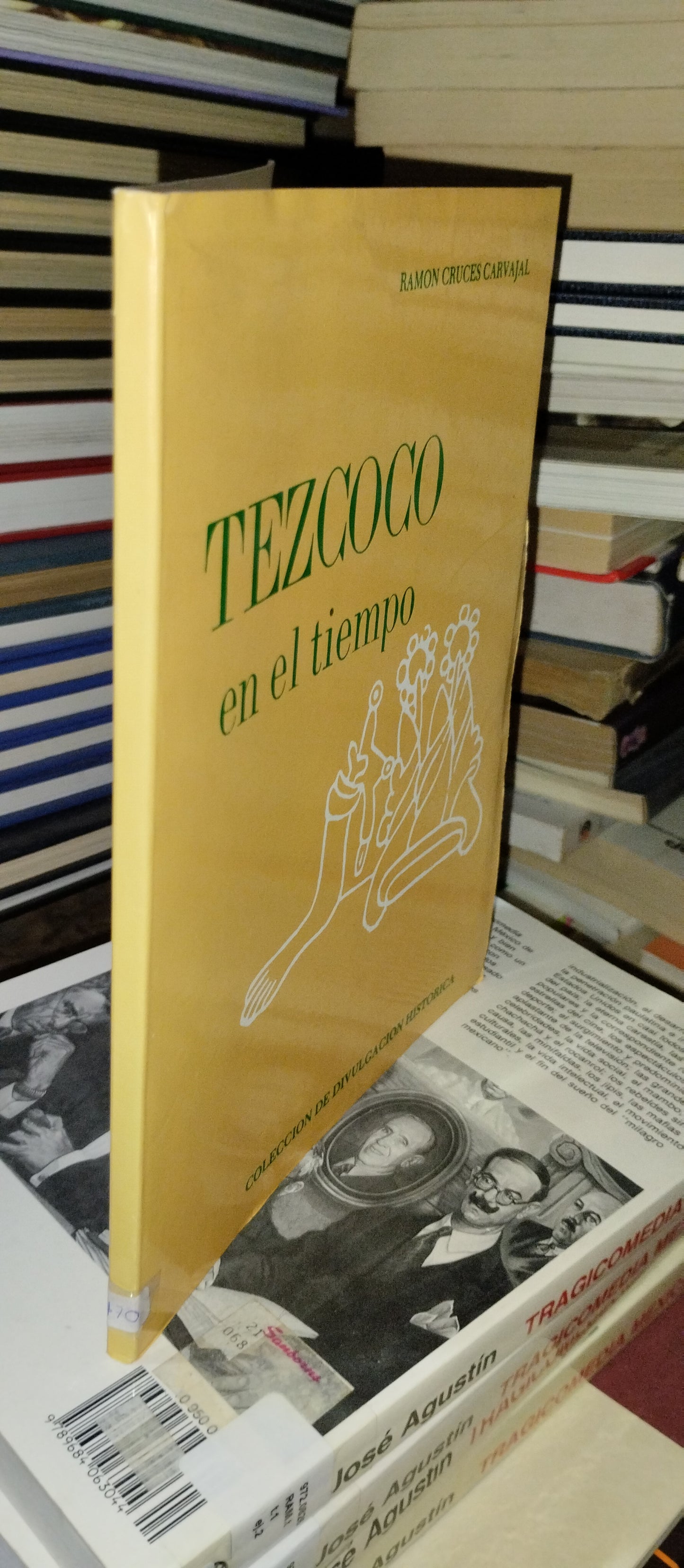 TEZCOCO EN EL TIEMPO POR RAMON CRUCES CARVAJAL USADO HISTORIA ALDAMA