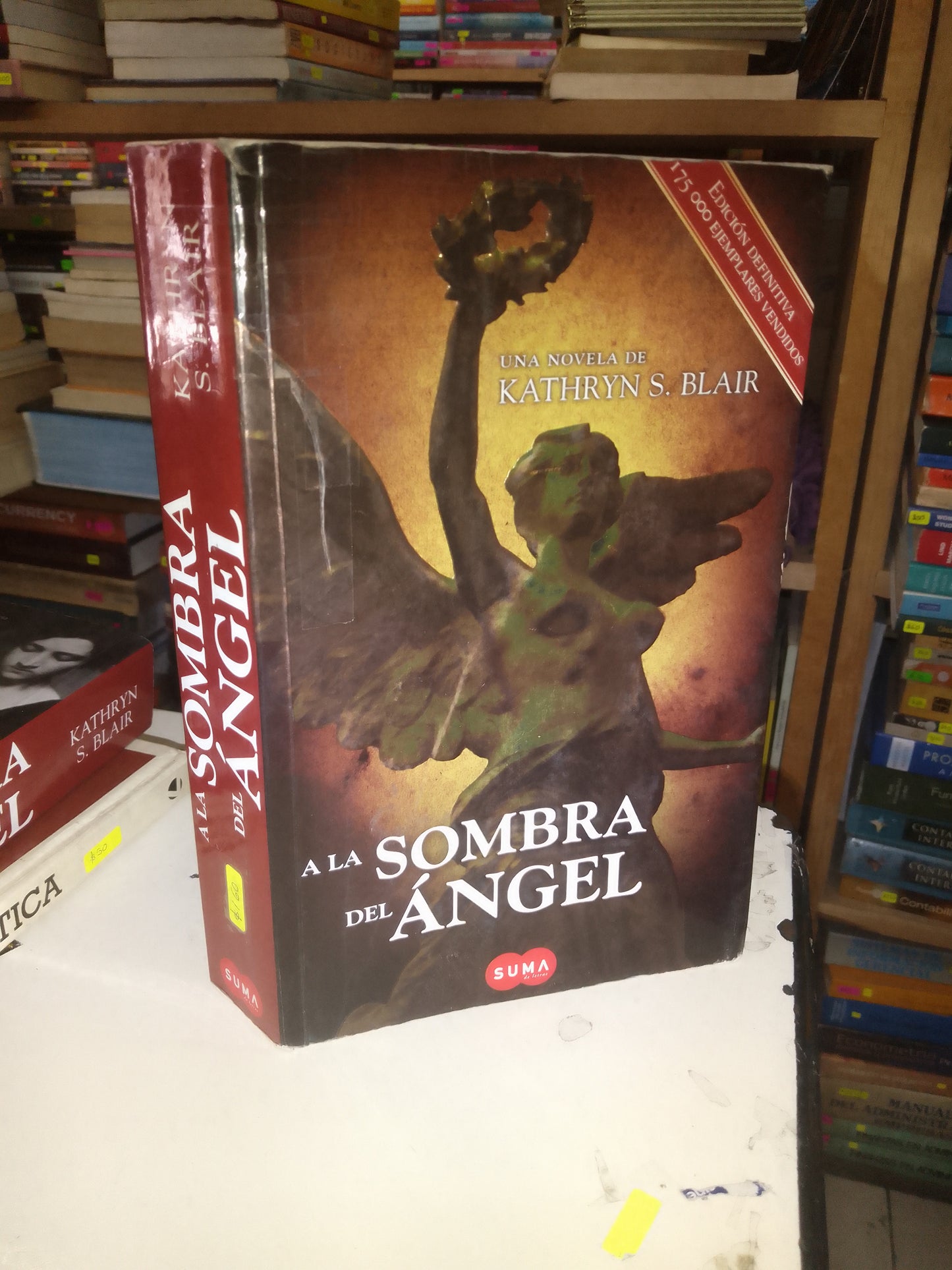 A LA SOMBRA DEL ÁNGEL POR KATHRYN S. BLAIR USADO NOVELA LITERARIO 207