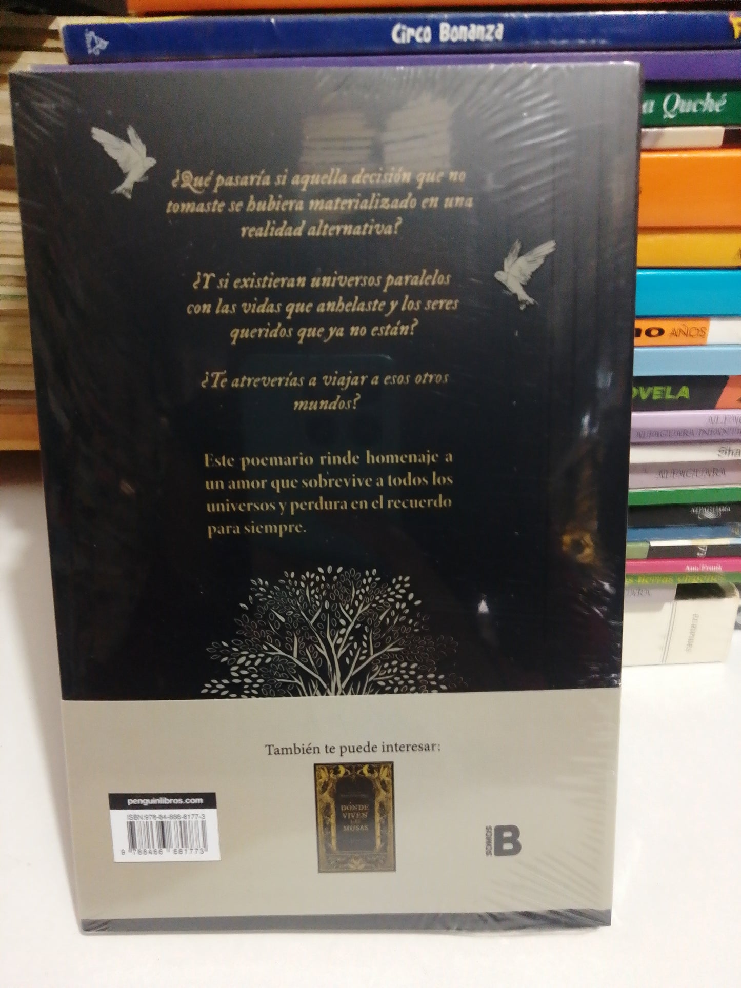 EN TODOS MIS UNIVERSOS POR MARIANELA DOS SANTOS NUEVO JUAREZ