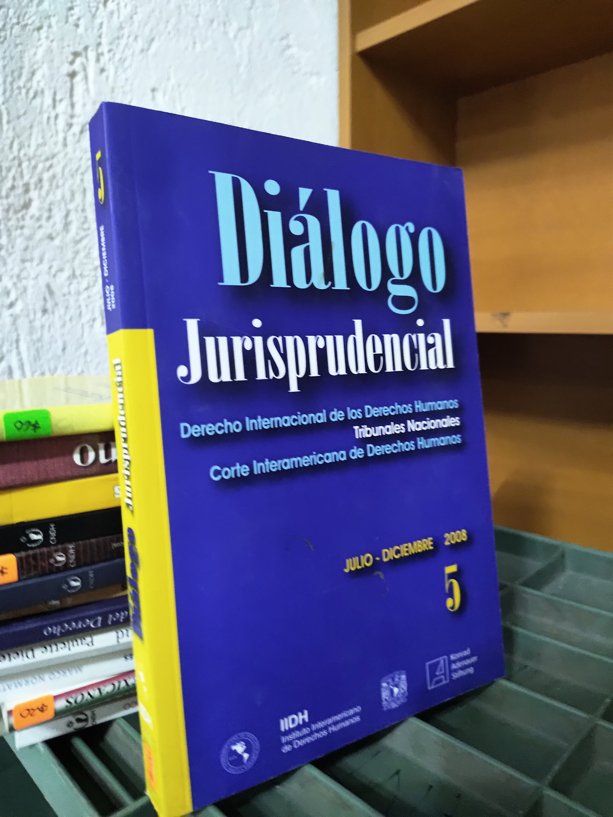 DIALOGO JURISPRUDENCIAL POR LA IIDH USADO DERECHO JUAREZ 515