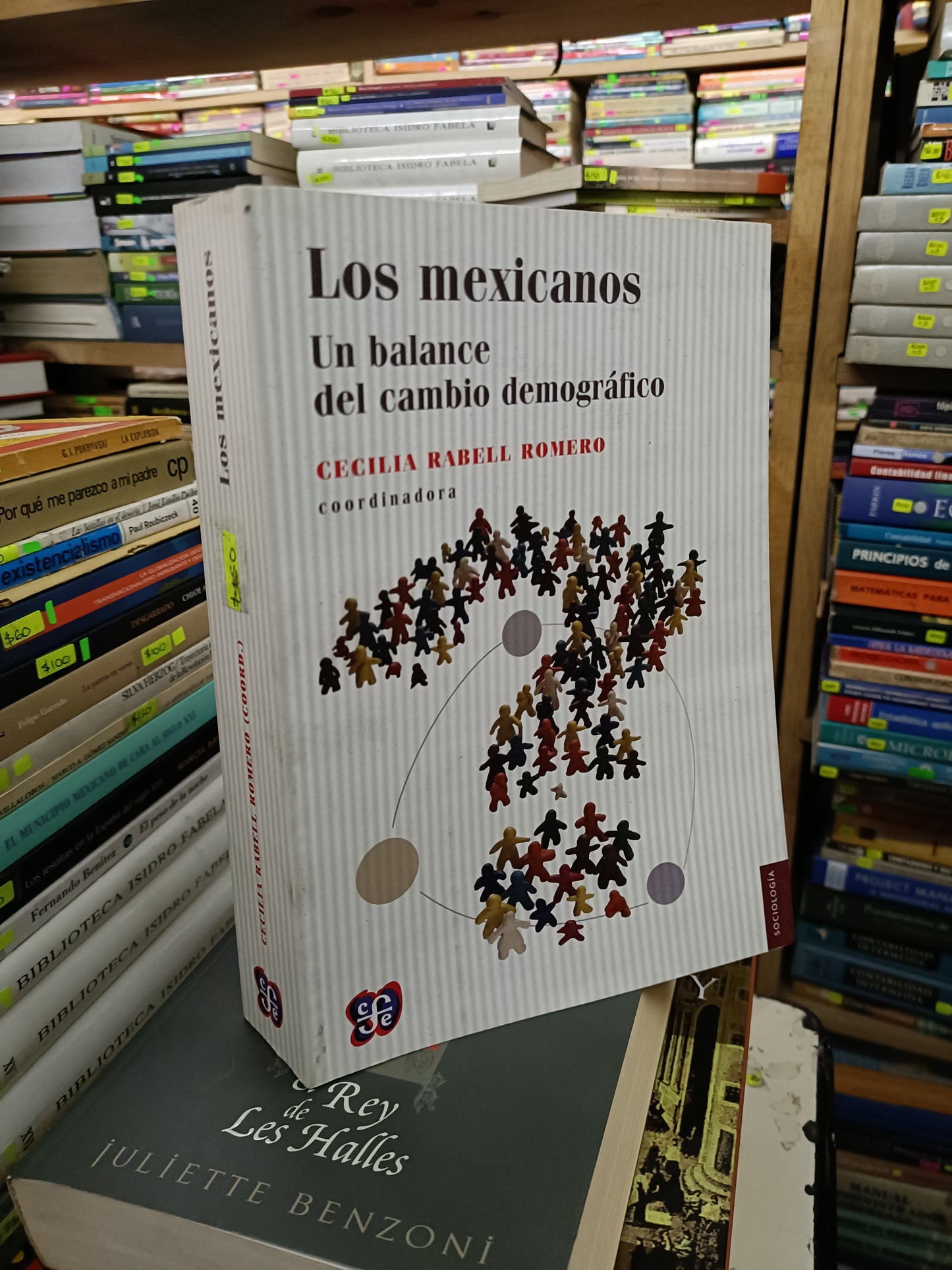 LOS MEXICANOS COORDINADO POR CECILIA RABELL ROMERO USADO HISTORIA LITERARIO 207