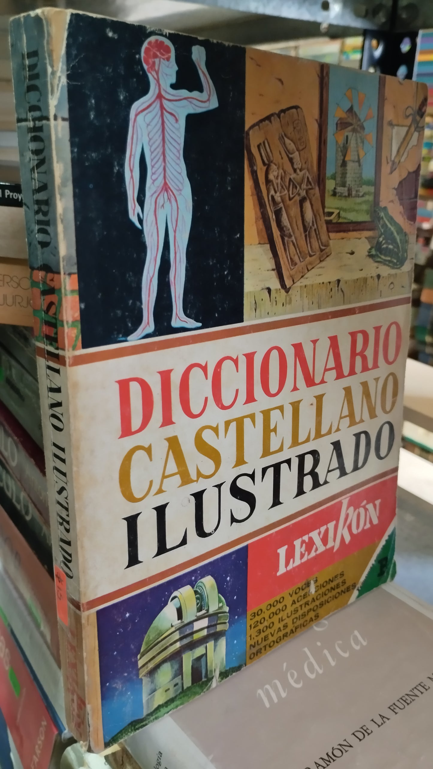 DICCIONARIO CASTELLANO ILUSTRADO POR LEXIRON LIBRO USADO EDUCACIÓN ALDAMA