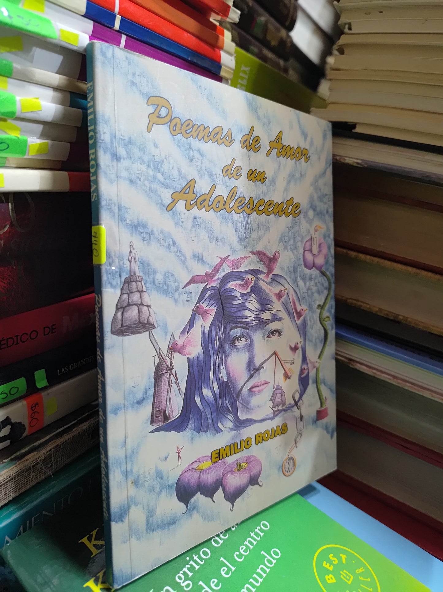 POEMAS DE AMOR DE UN ADOLESCENTE POR EMILIO ROJAS USADO POESIA JUAREZ 507