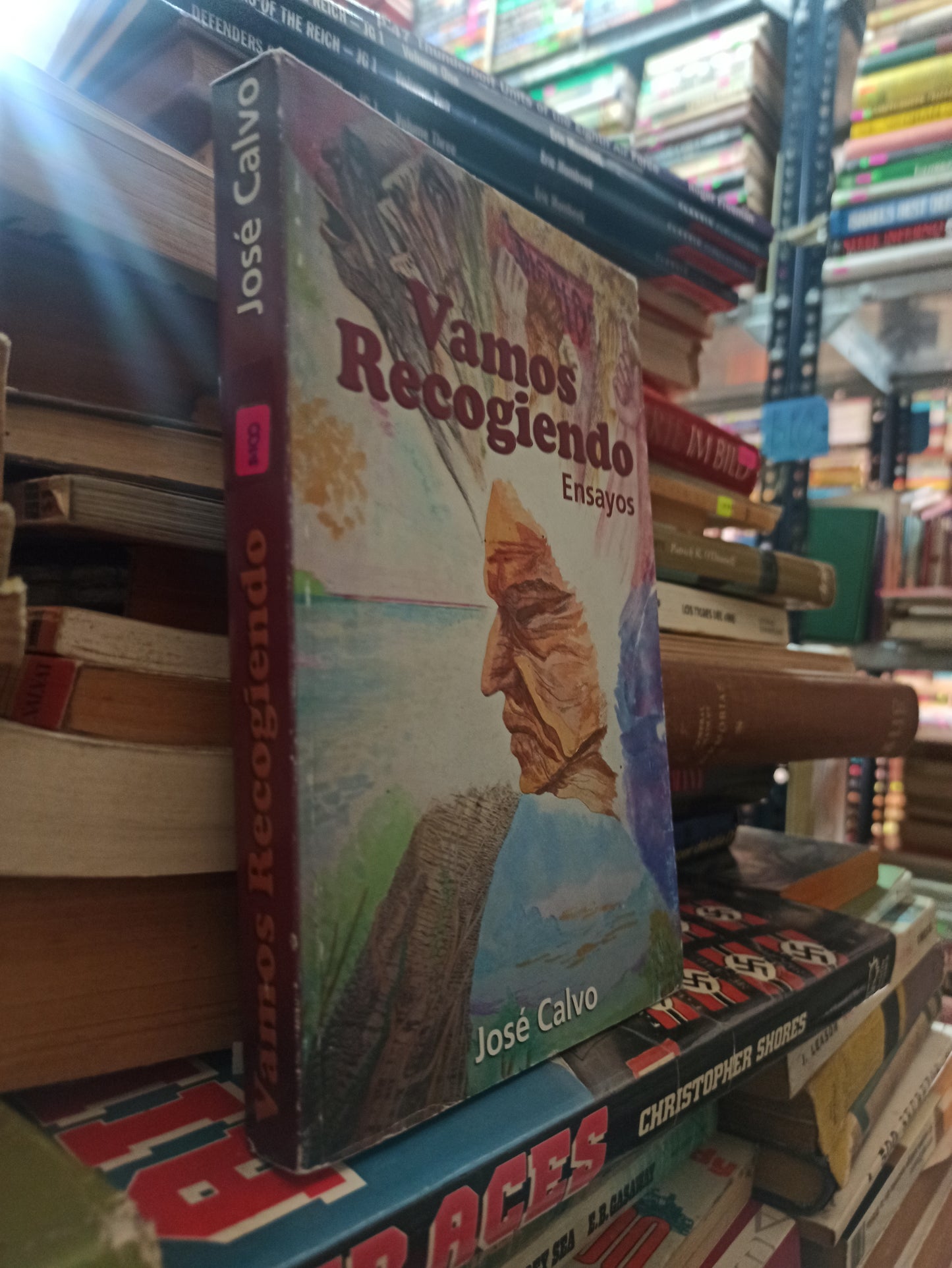 VAMOS RECOGIENDO POR JOSÉ CALVO USADO NOVELAS ALDAMA