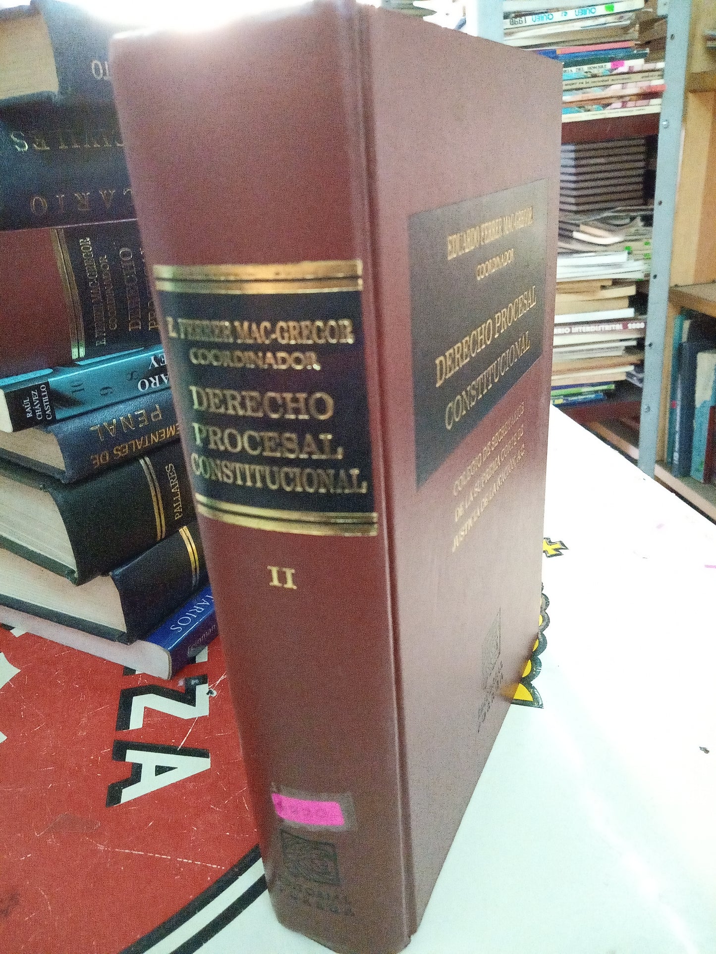 DERECHO PROCESAL CONSTITUCIONAL POR EDUARDO FERRER MAC GREGOR CORDINADOR USADO DERECHO LITERARIO 207